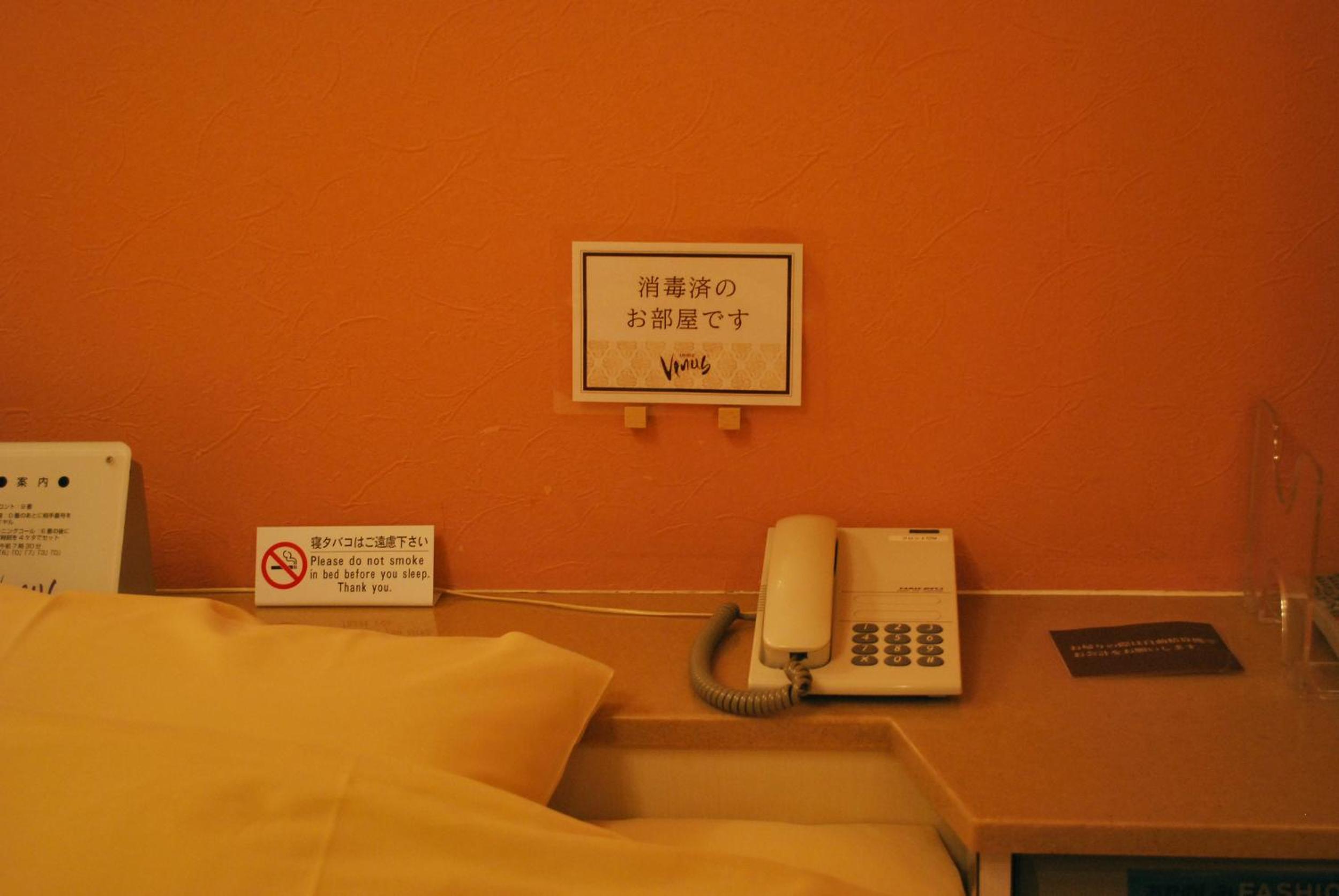 One-Bedroom Suite - Photo 10