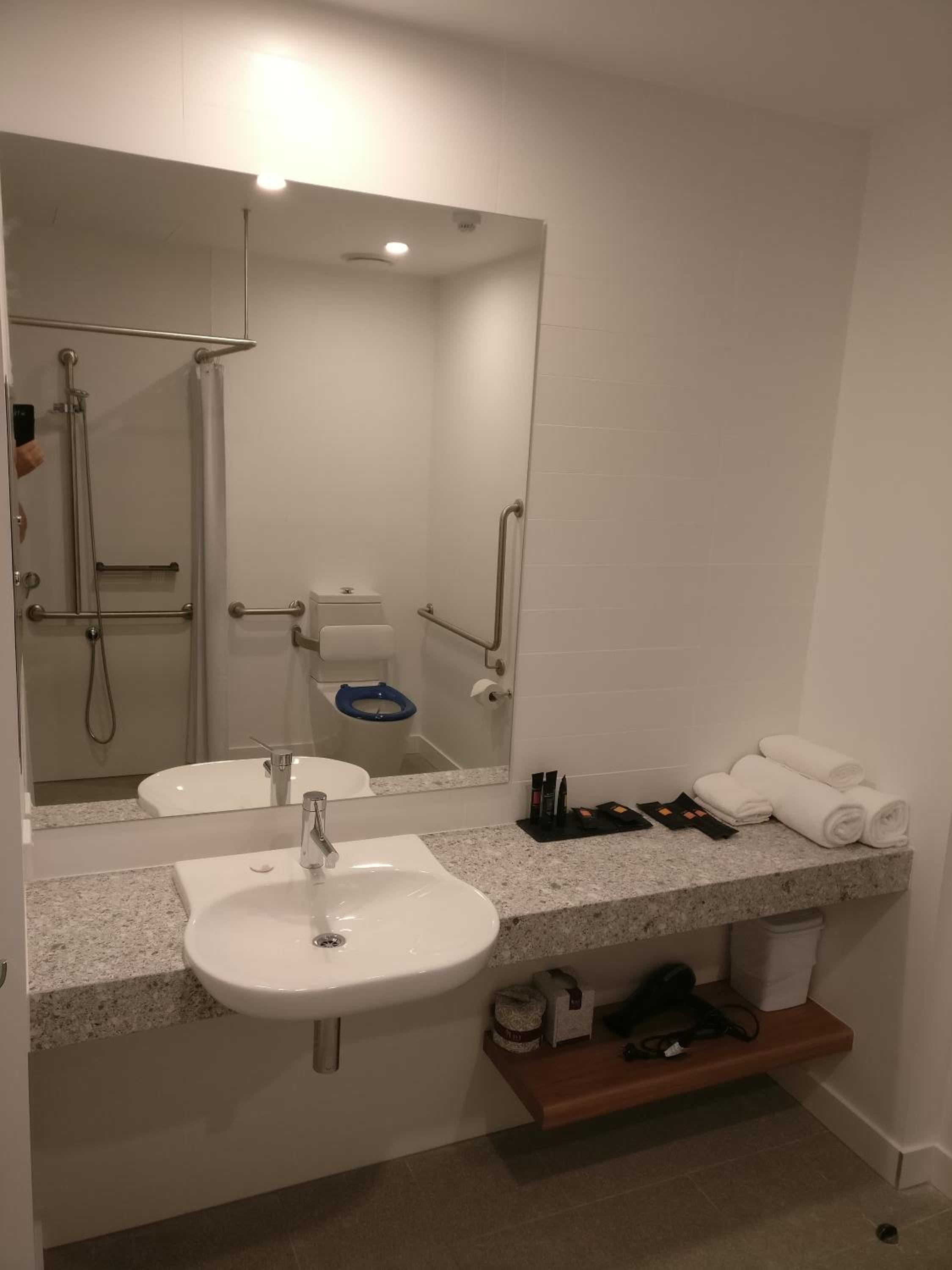 Disabled Executive King Room - Photo 6