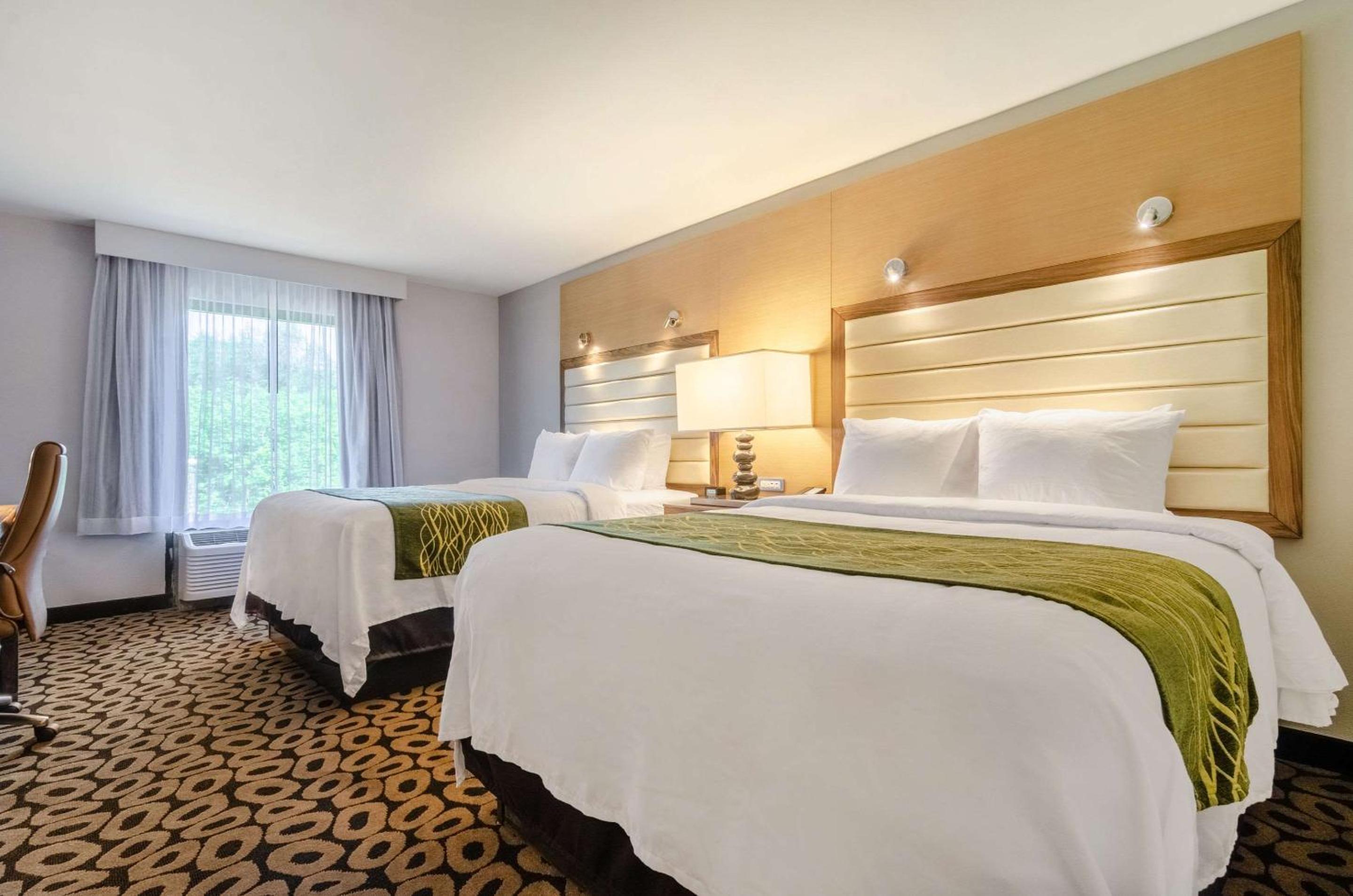 Queen Room with Two Queen Beds - Non-Smoking - Photo 3