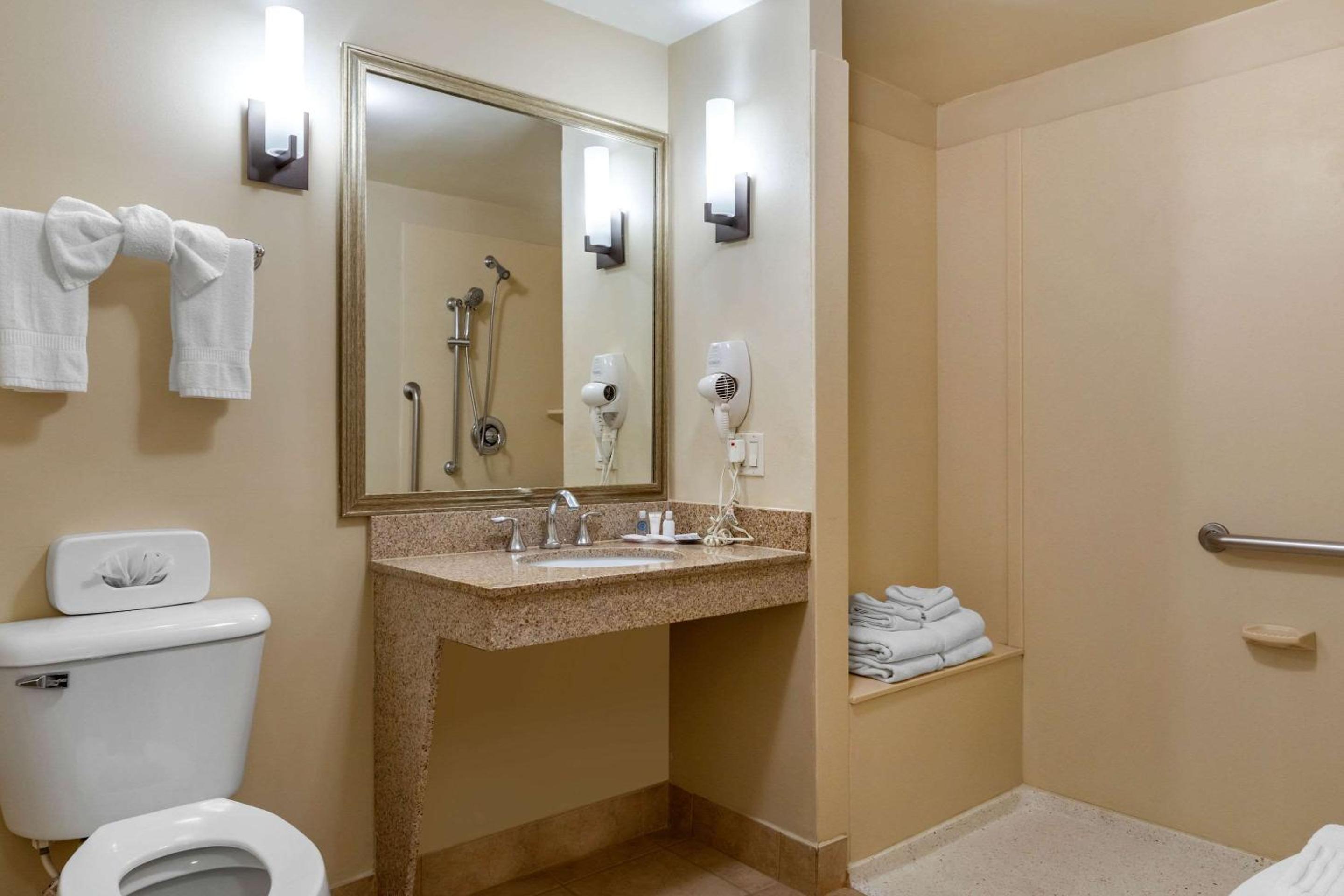 King Suite - Accessible/Non-Smoking - Photo 9