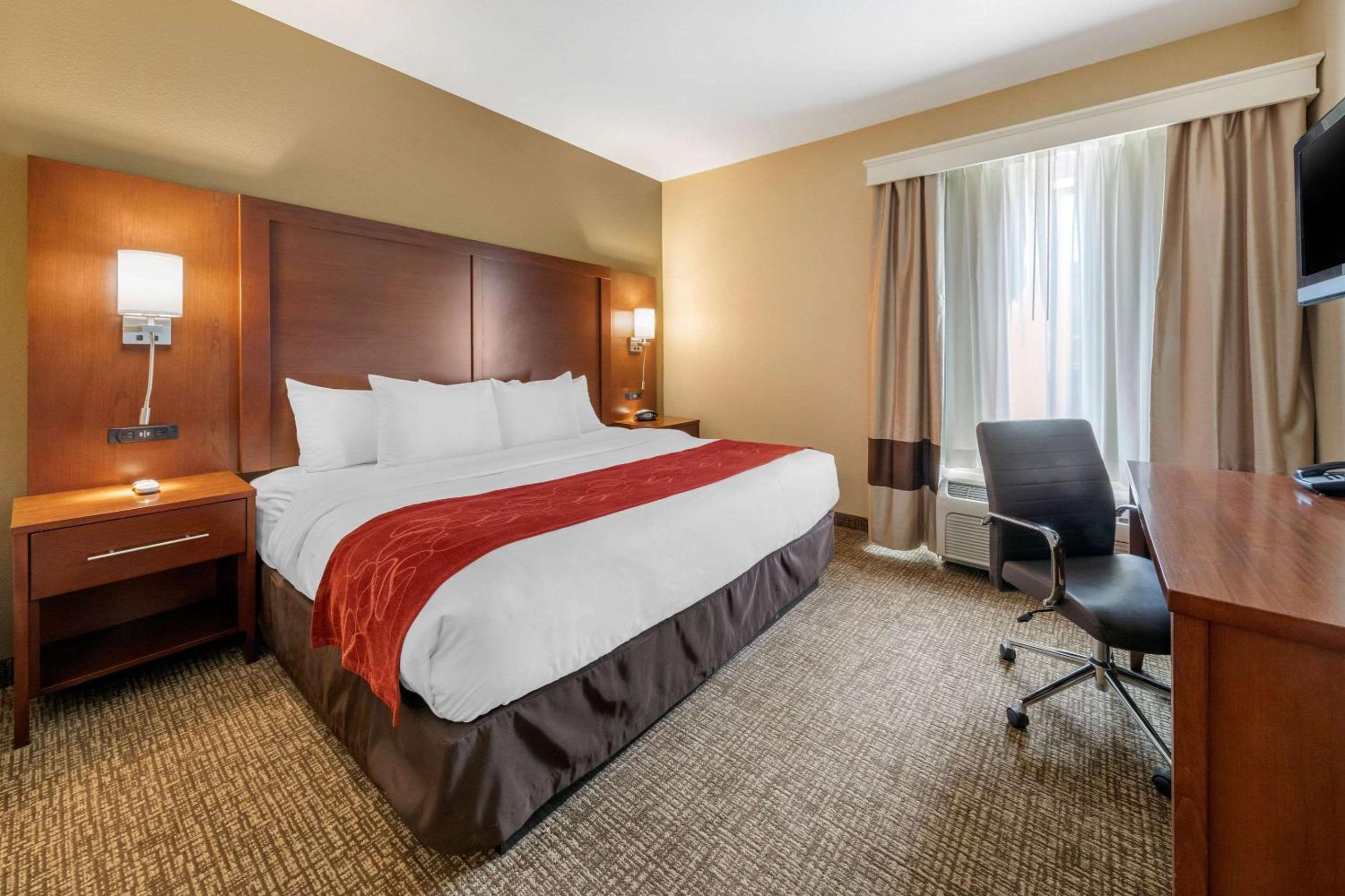 King Suite with One King Bed - Photo 5