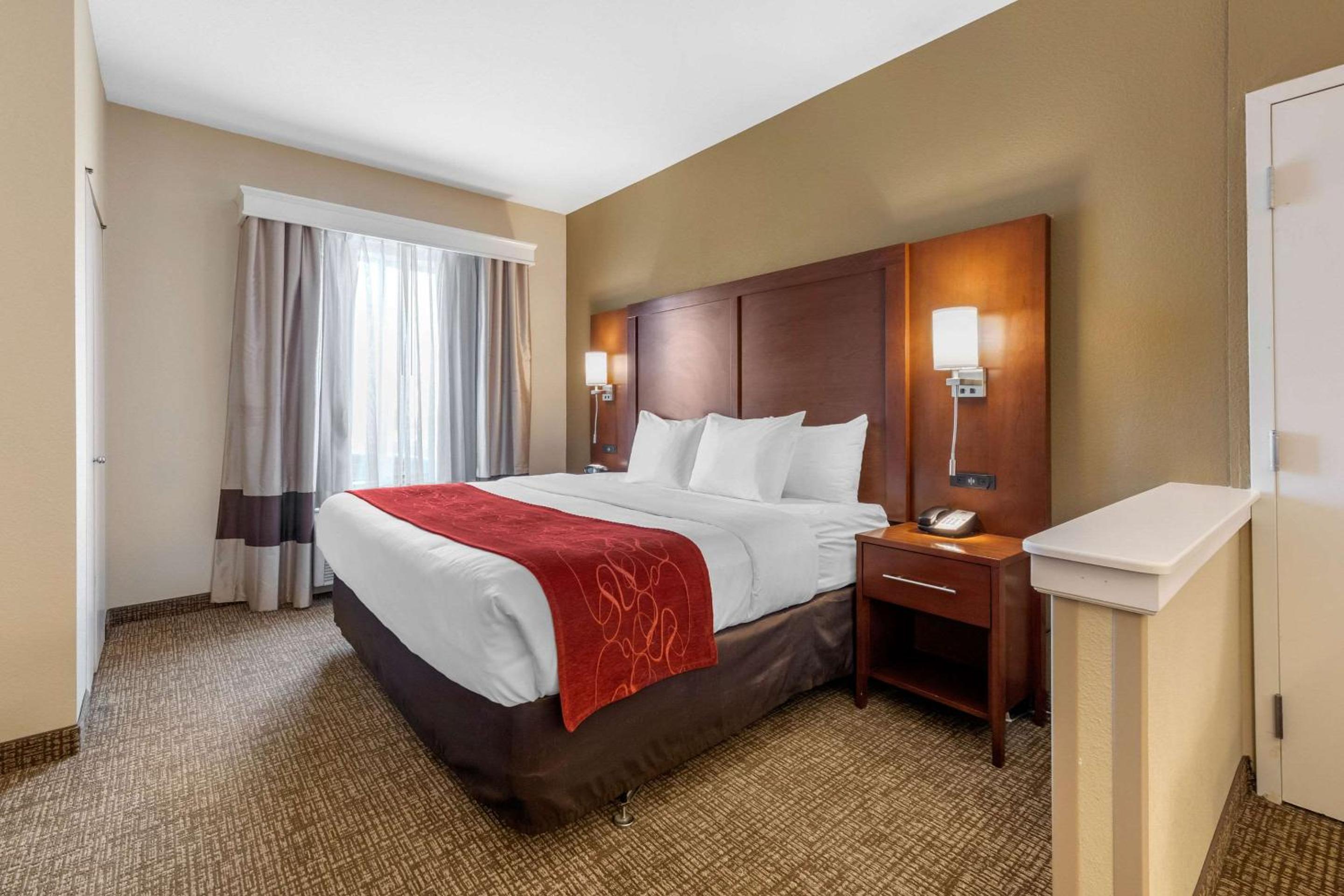 King Suite with One King Bed - Photo 6