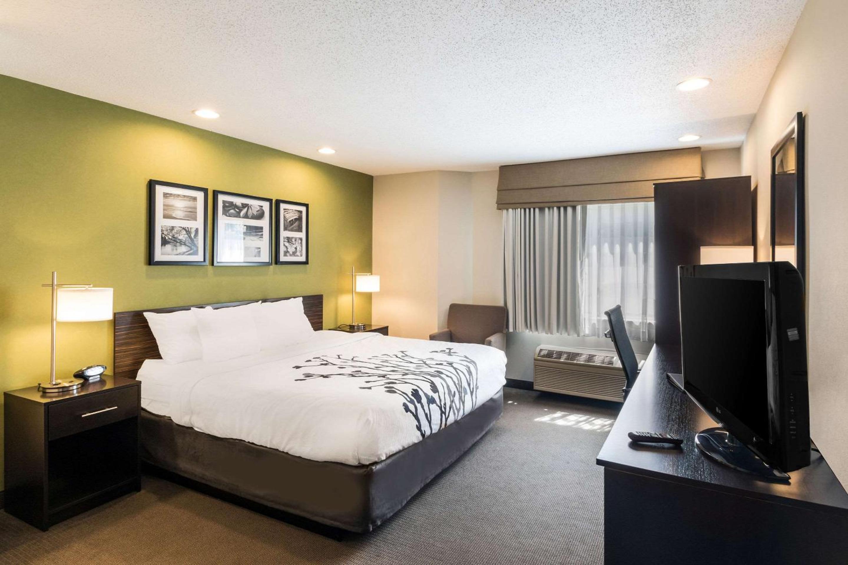King Room - Photo 1