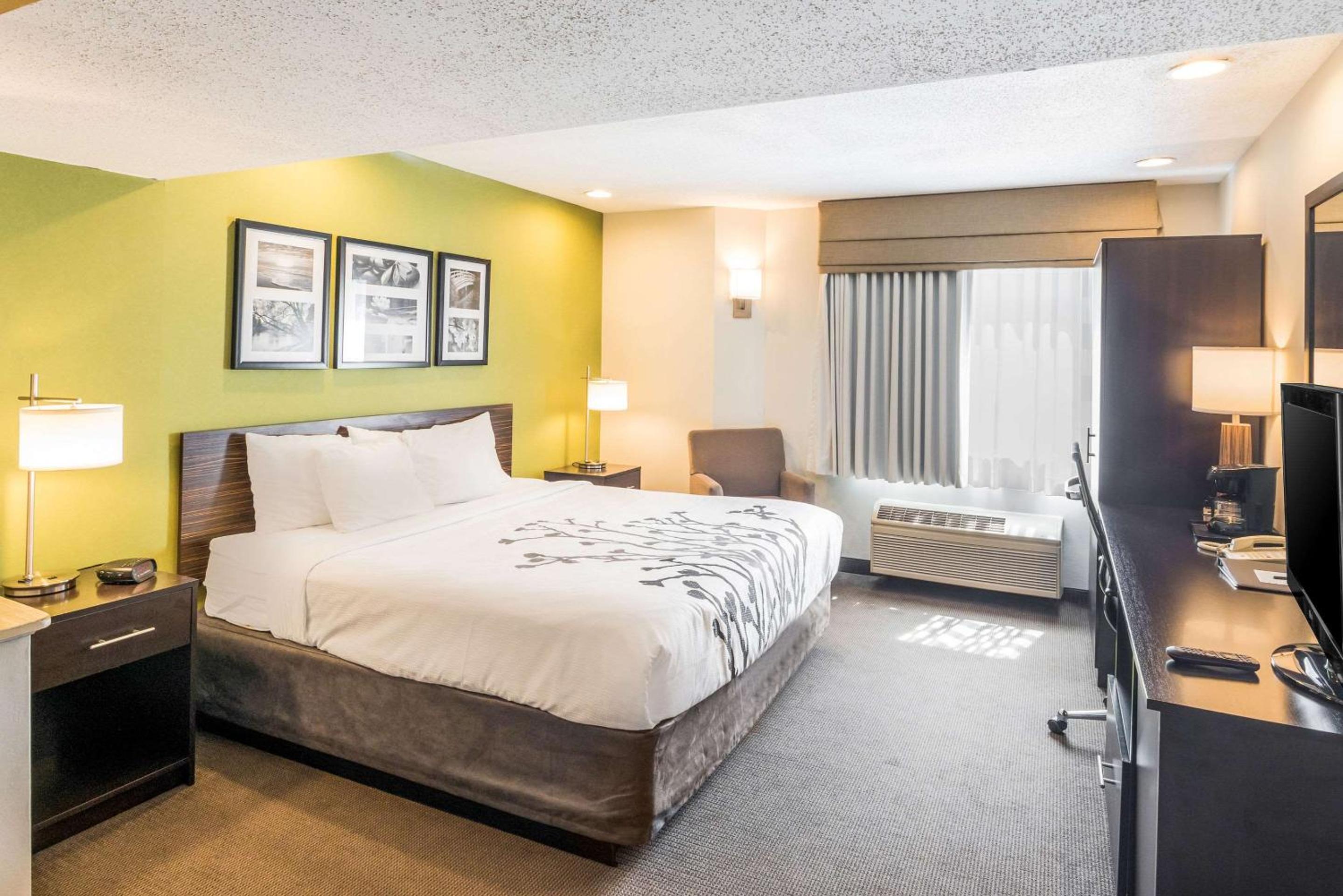 King Suite - Photo 1