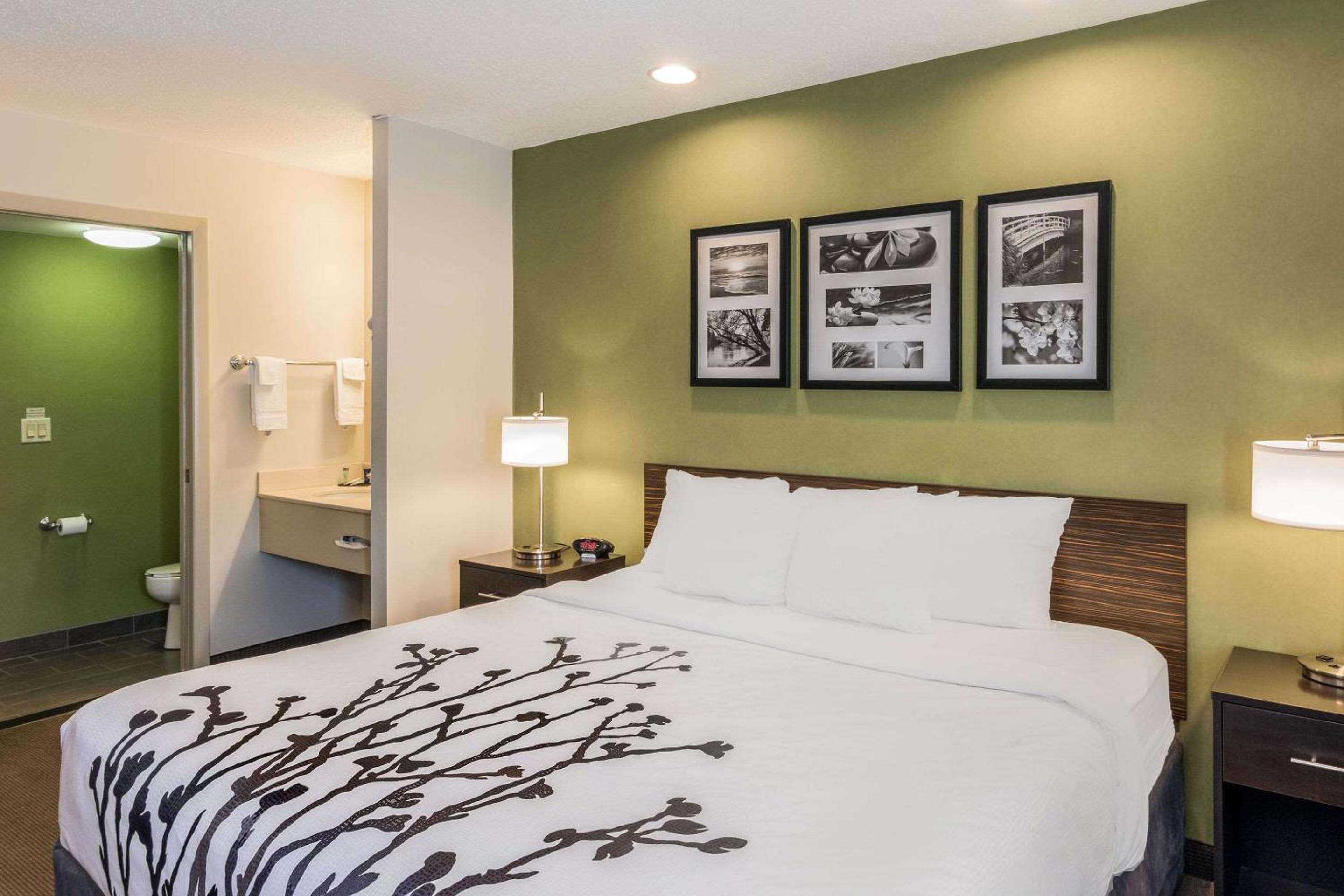 King Room - Photo 6