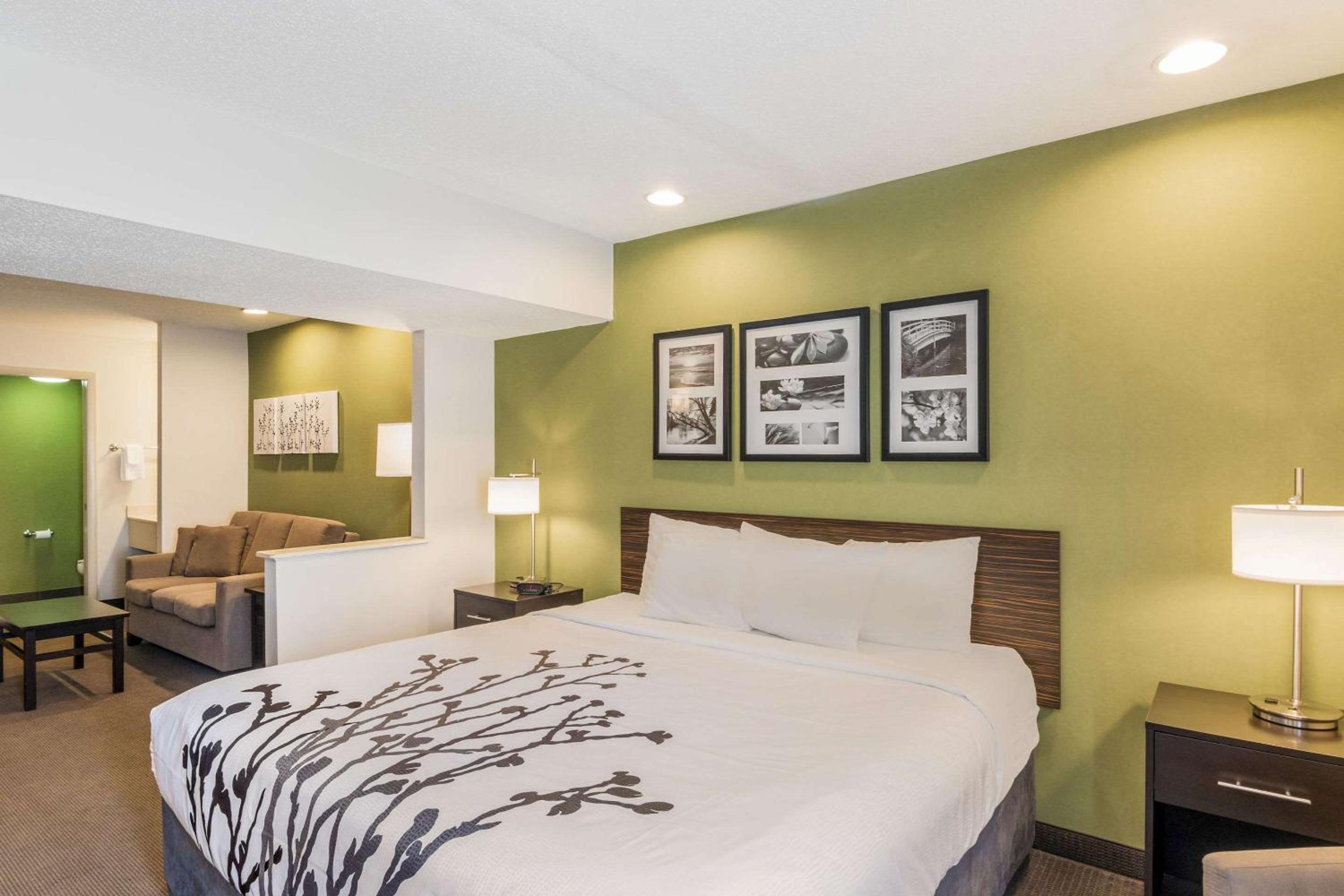 King Suite - Photo 9