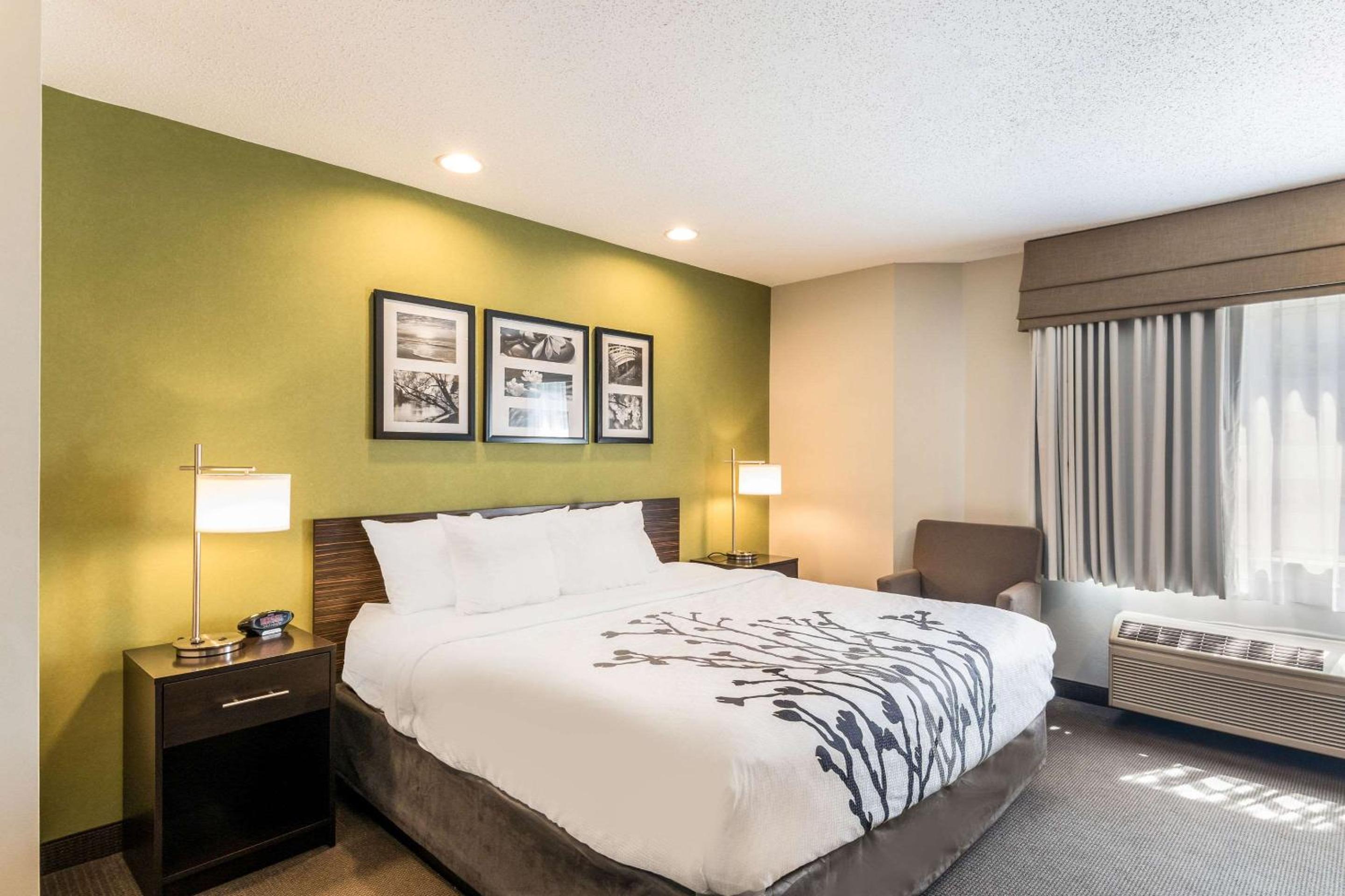 King Room - Photo 7