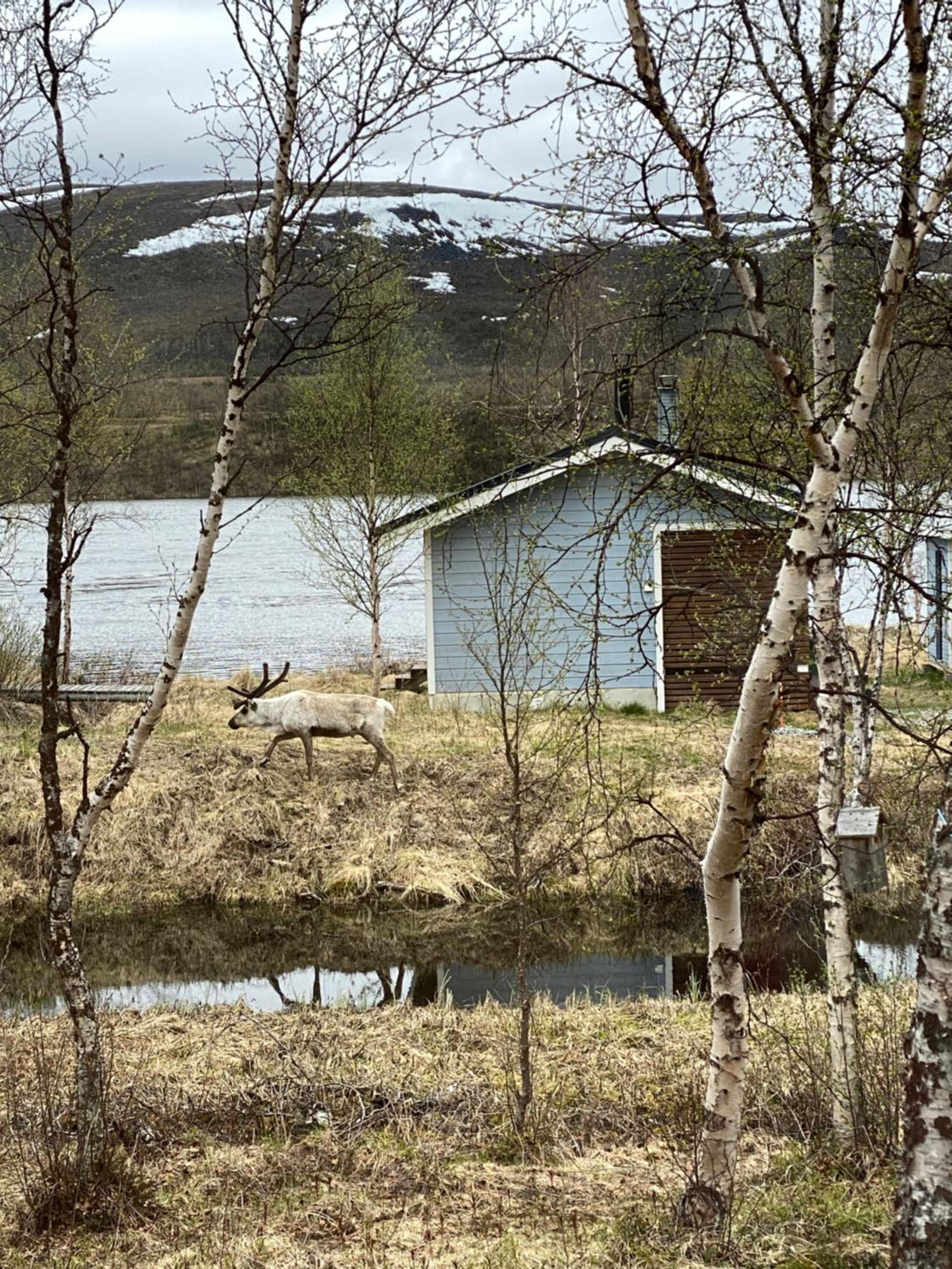 Cottage - Photo 28