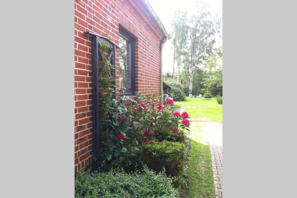 Two-Bedroom House photo 3