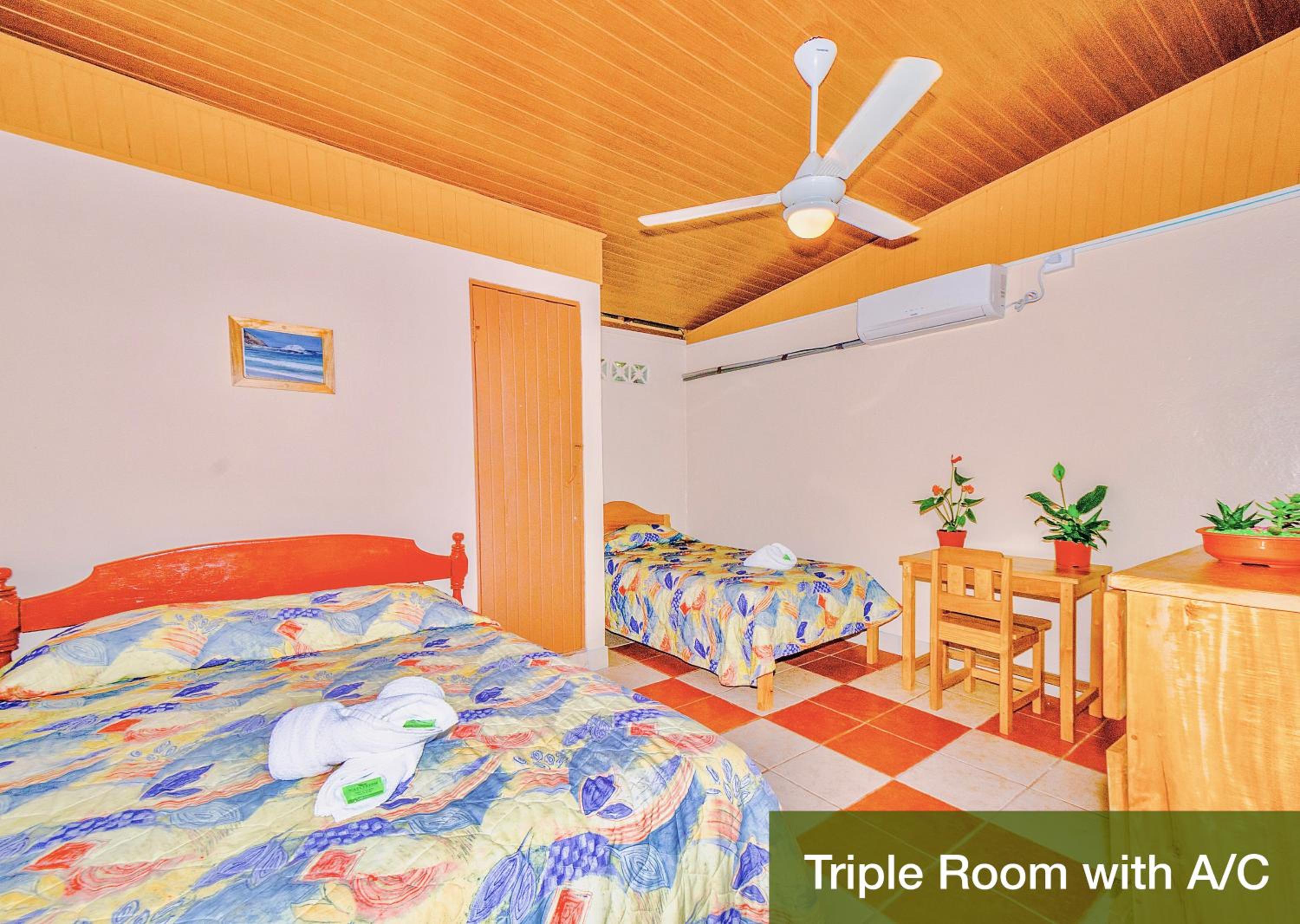 Superior Triple Room photo 2