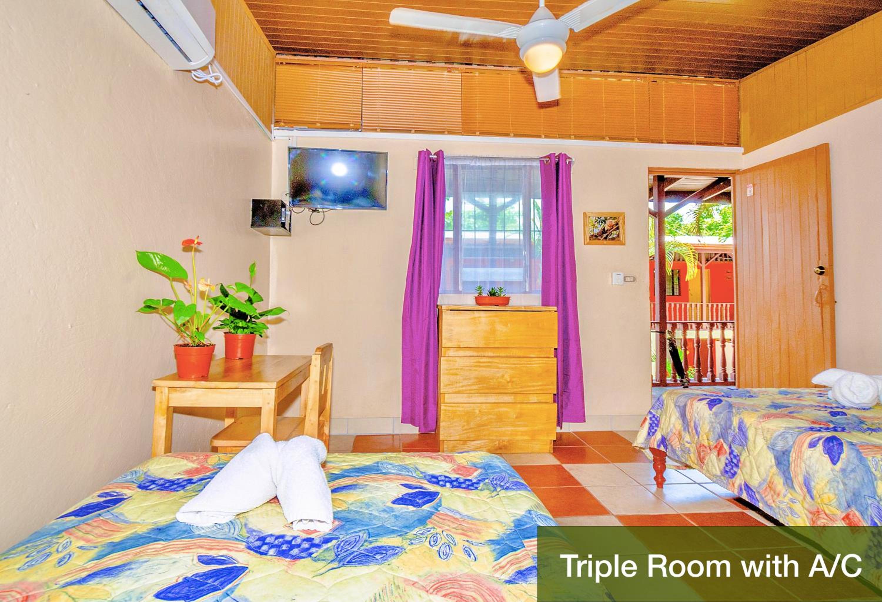 Superior Triple Room photo 3