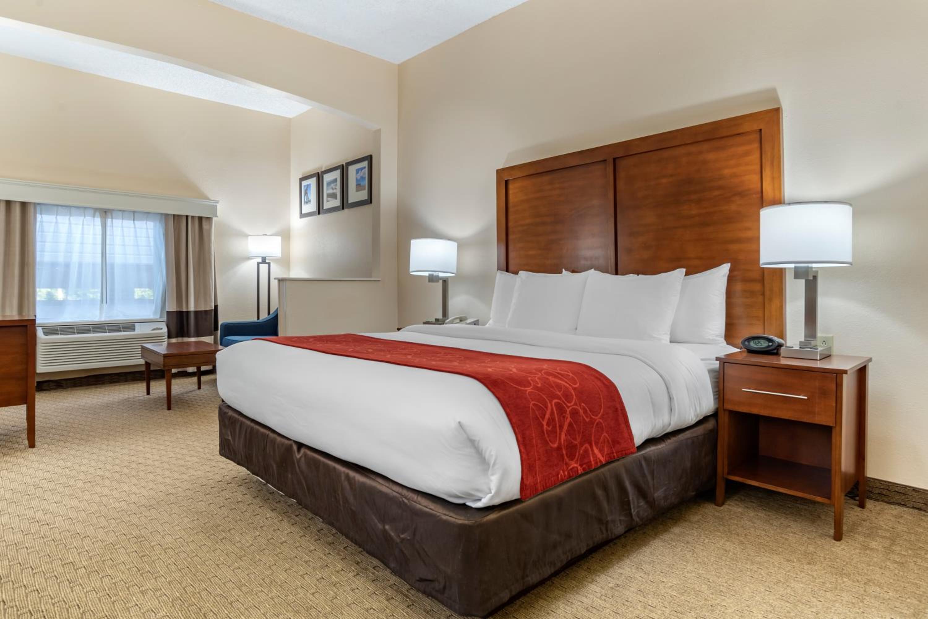 King Suite - Accessible/Non-Smoking - Photo 5