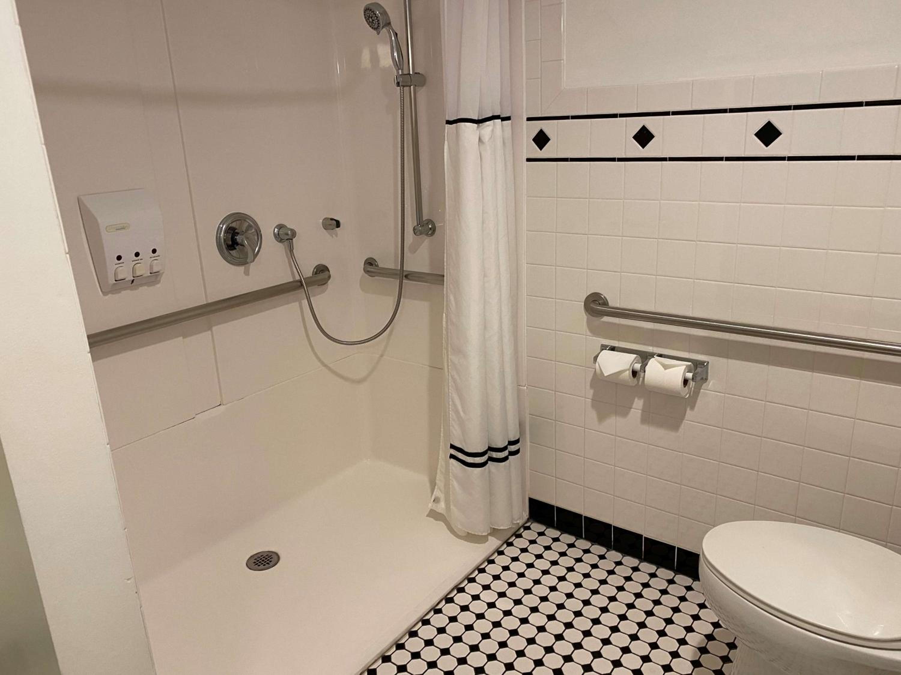Deluxe King Suite with Roll-In Shower - Disability Access - Photo 4