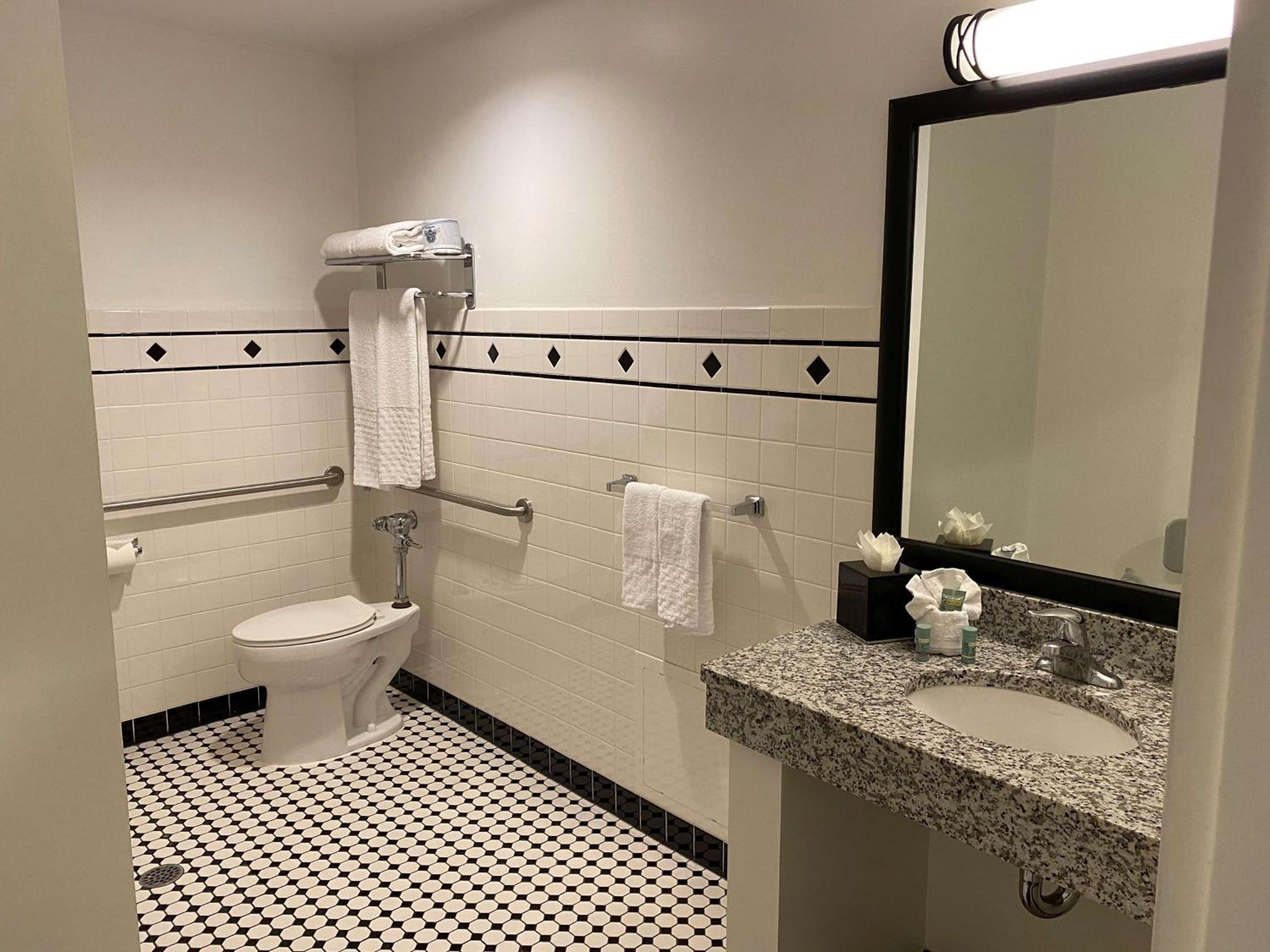 Deluxe King Suite with Roll-In Shower - Disability Access - Photo 2
