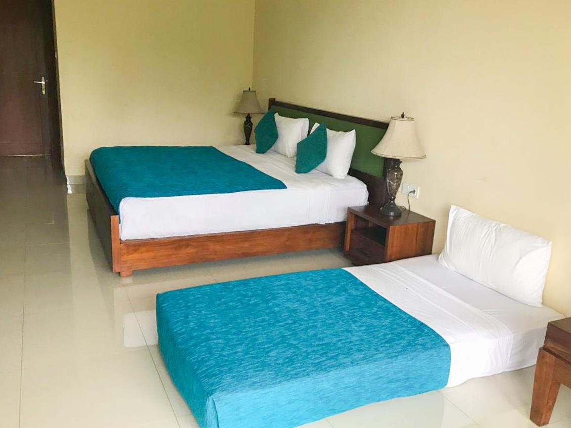 Deluxe Double or Twin Room photo 2