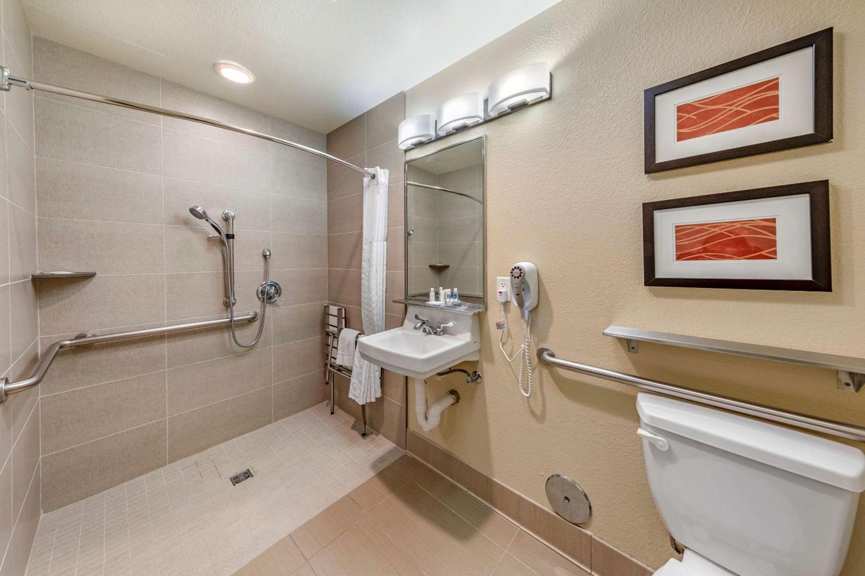 Double Room with Roll-In Shower - Accessible/Non-Smoking photo 3