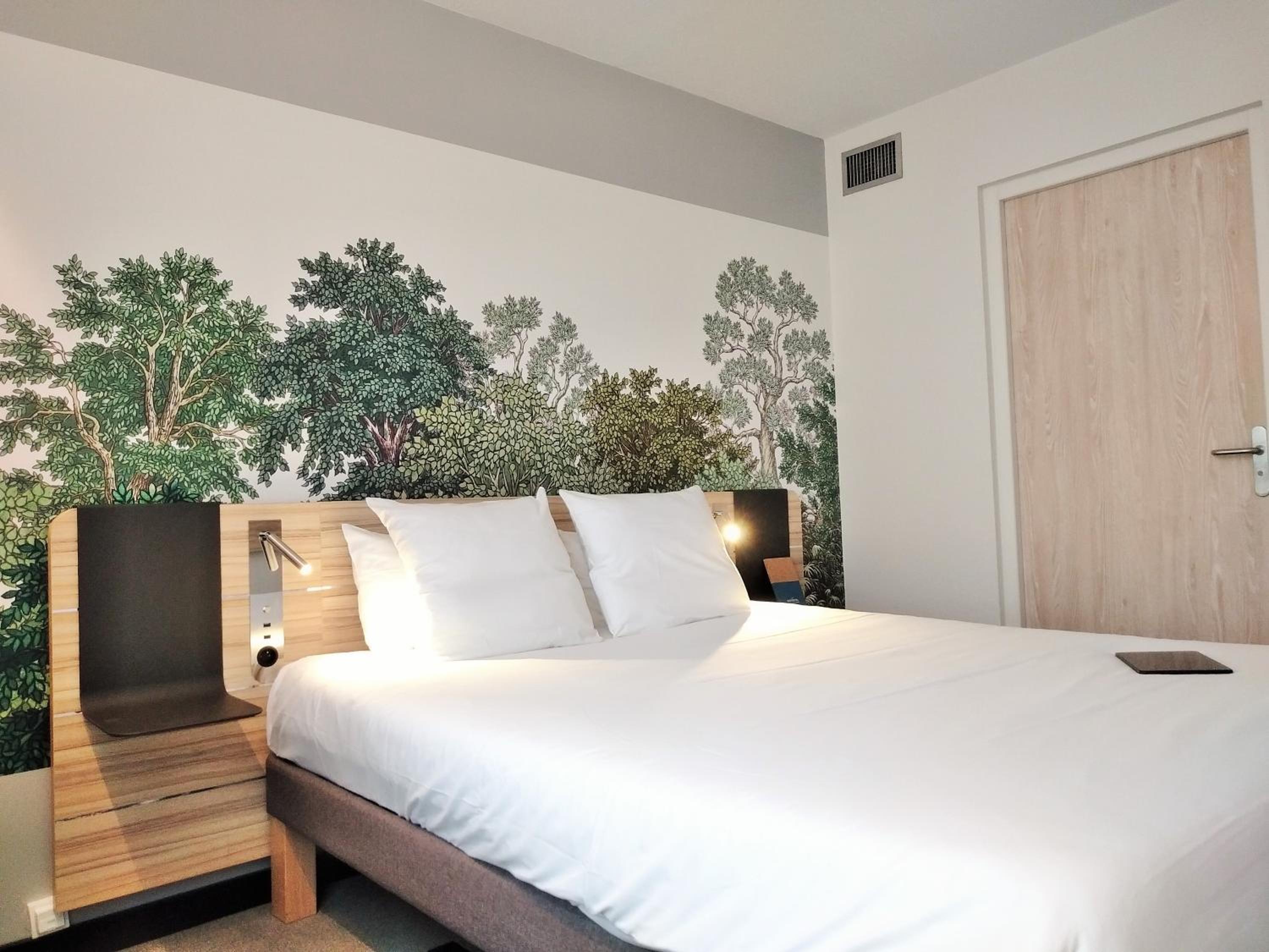 Superior Suite - Photo 33