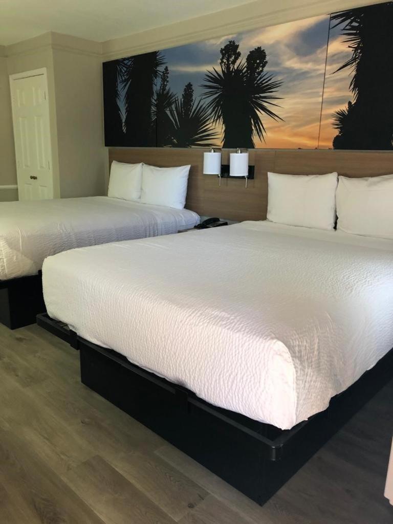 Queen Room with Two Queen Beds - Non-Smoking - Photo 6