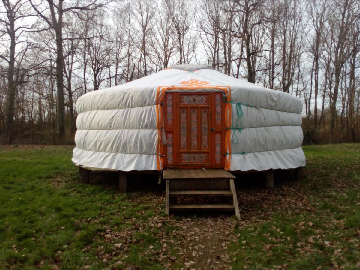 Yurt (4 Adults) photo 3
