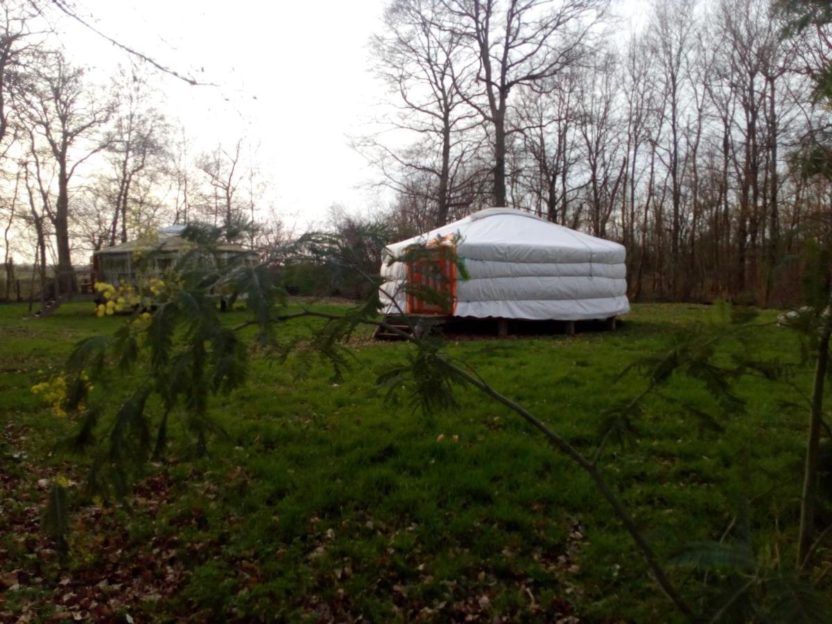 Yurt (4 Adults) photo 1