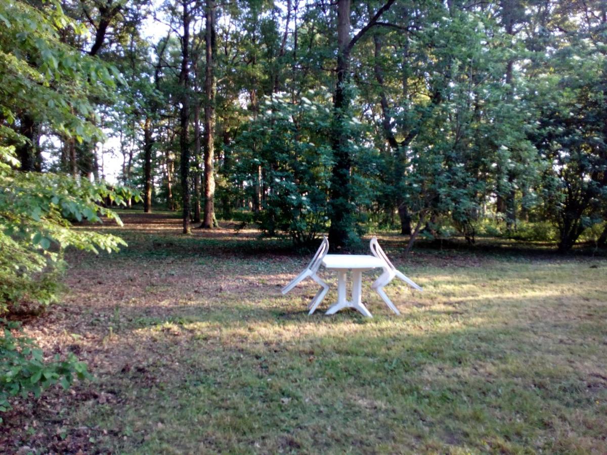 Yurt (2 Persons) photo 3