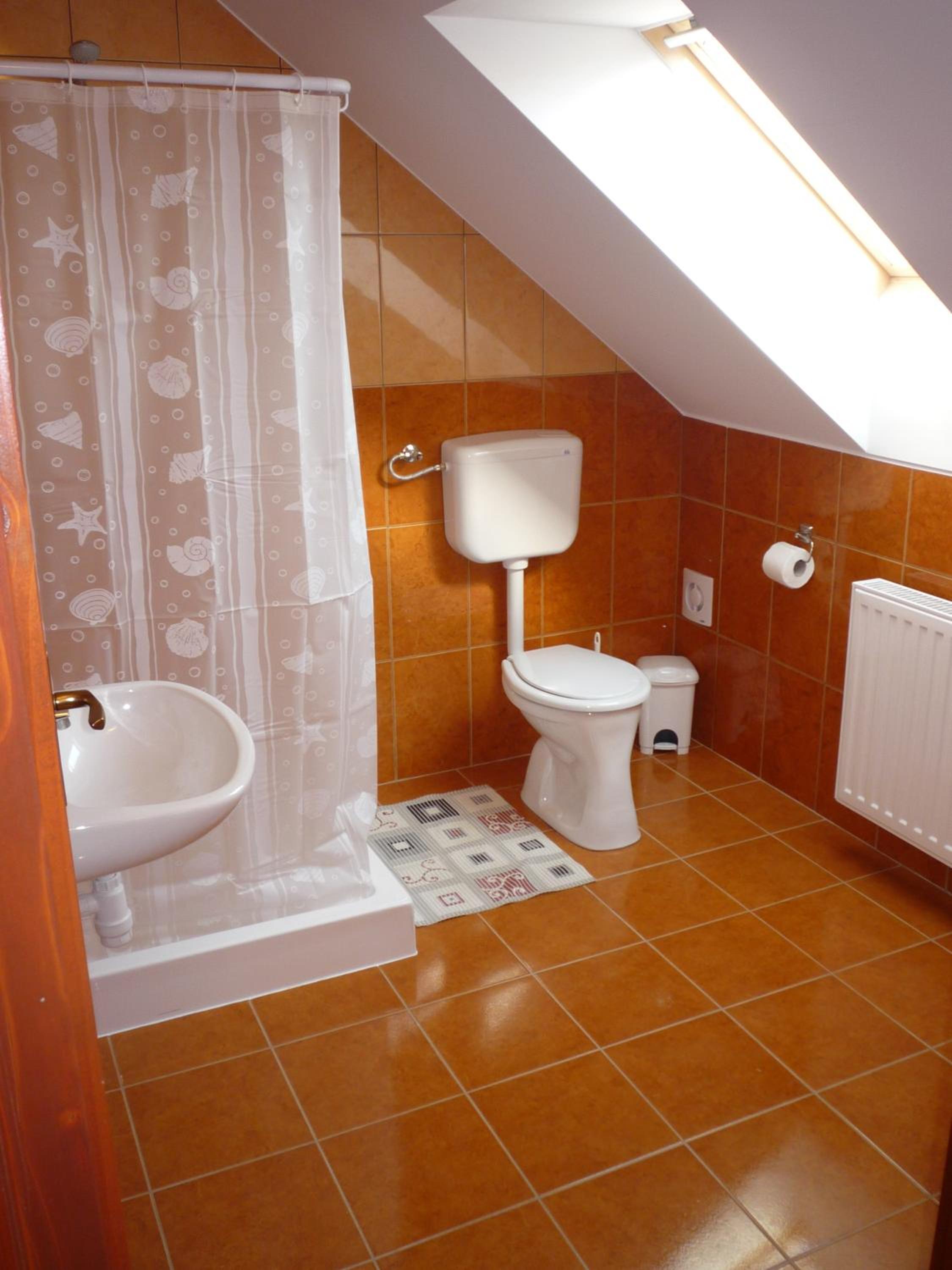 Apartment with Shower photo 2