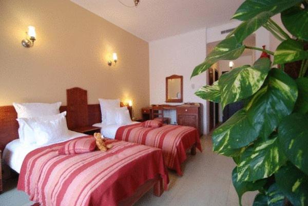 Twin Room with Mountain View photo 1