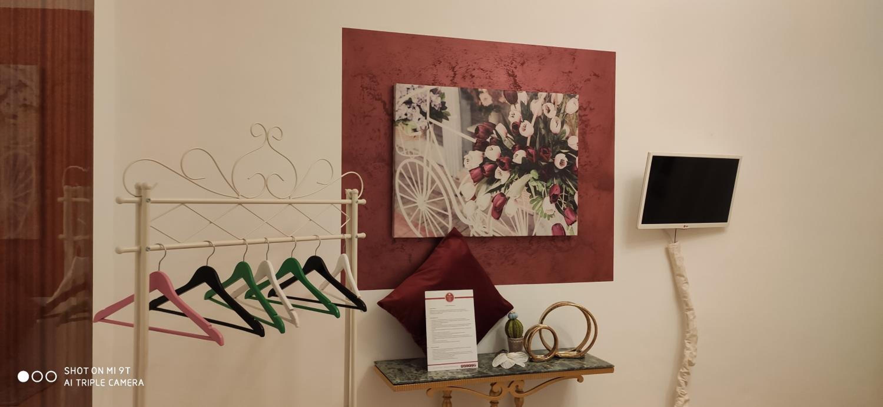 Single Room photo 1