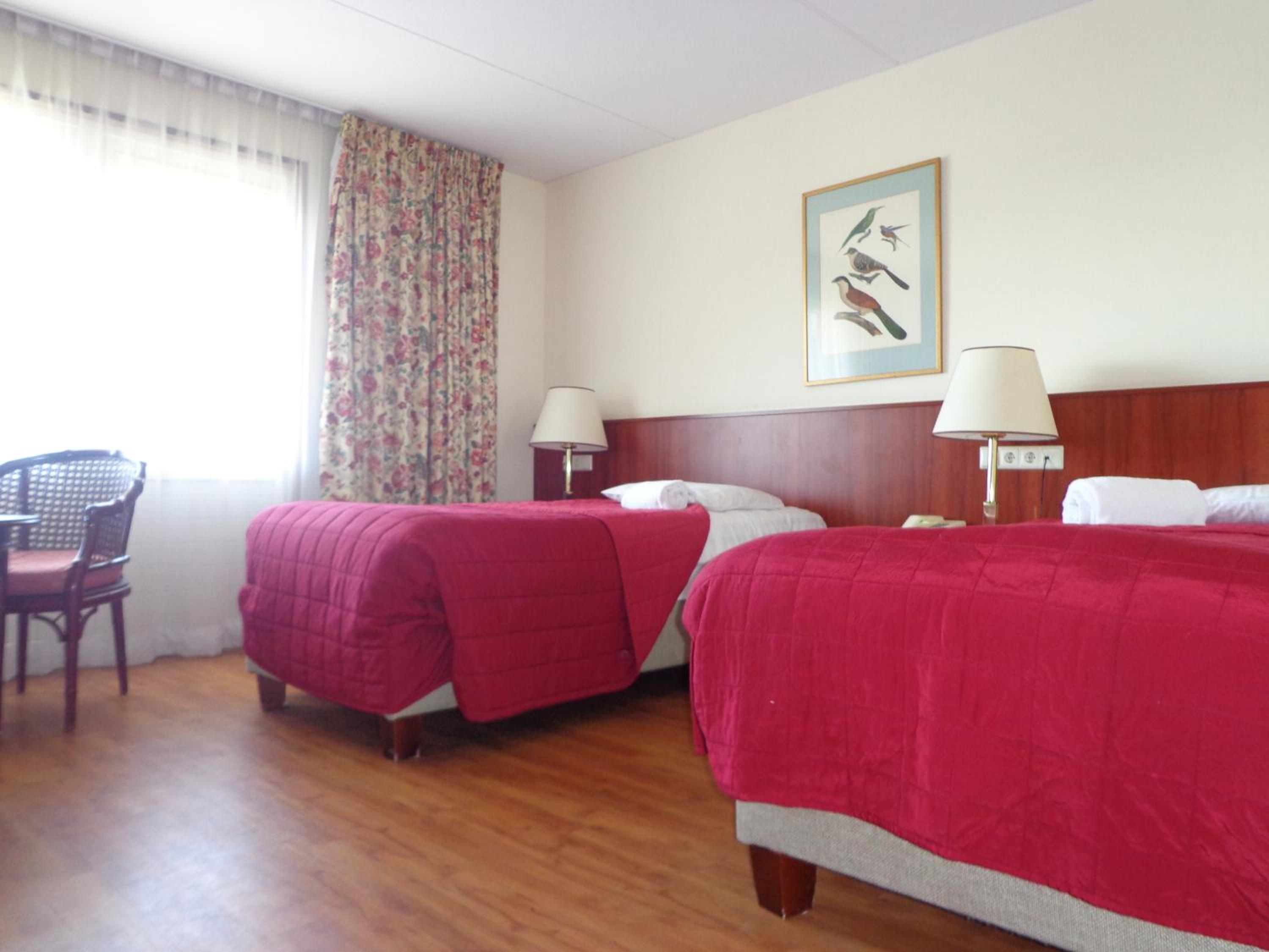 Standard Twin Room - Photo 1
