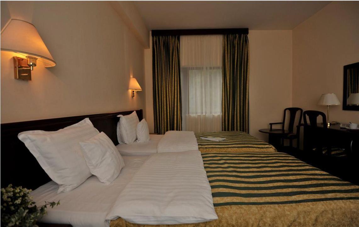 Twin Room photo 2