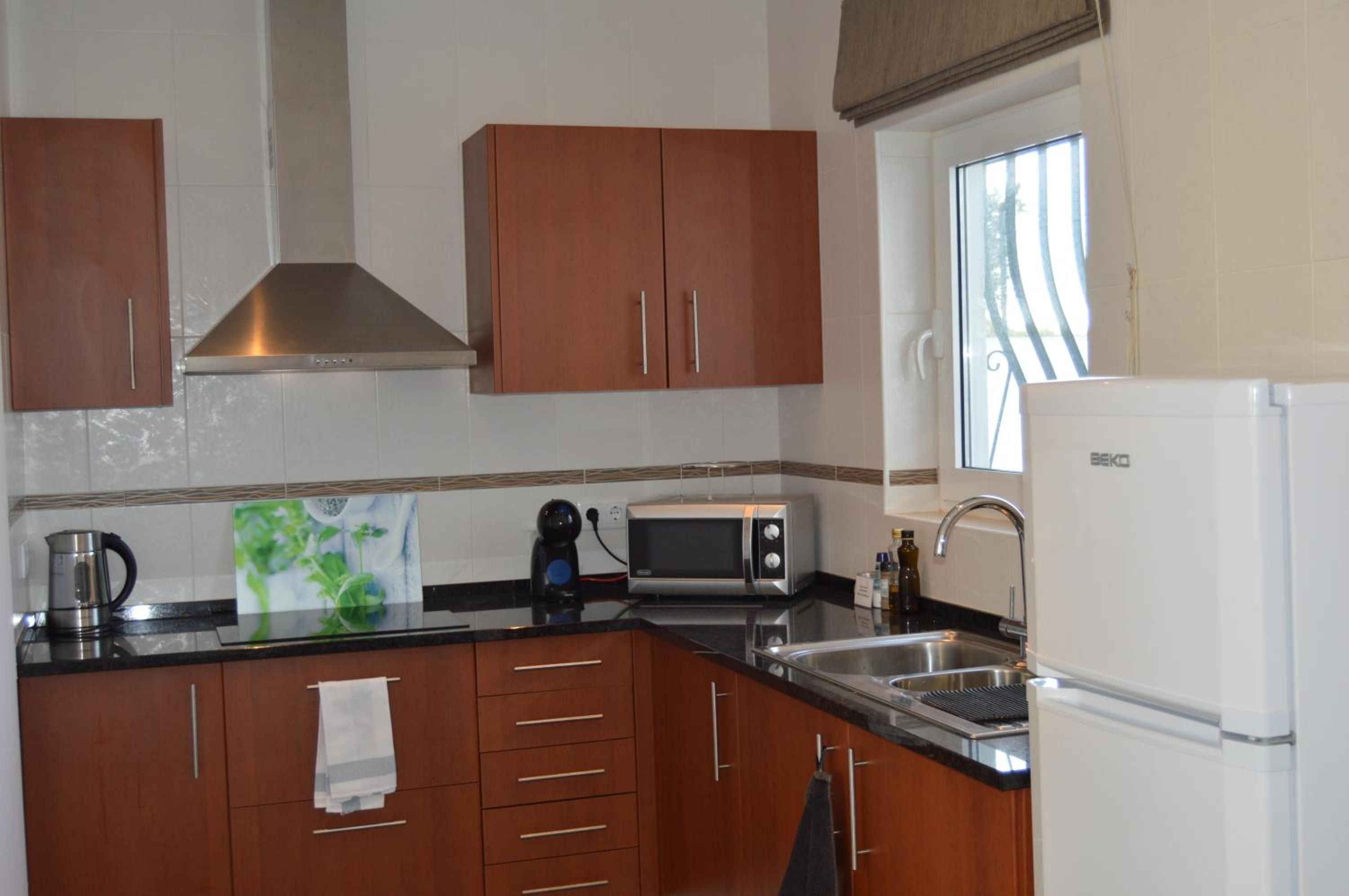 One-Bedroom Apartment with Private Terrace  photo 3