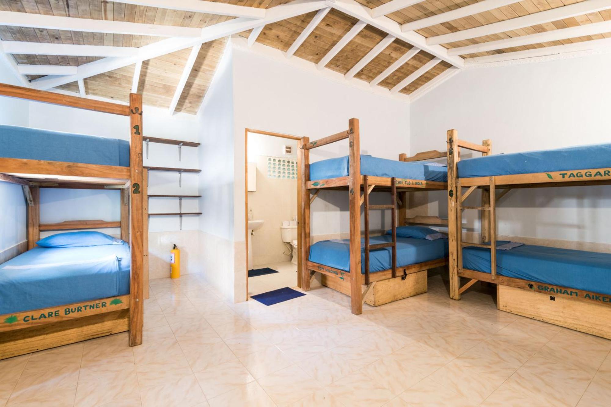 Bed in 6-Bed Mixed Dormitory Room photo 1