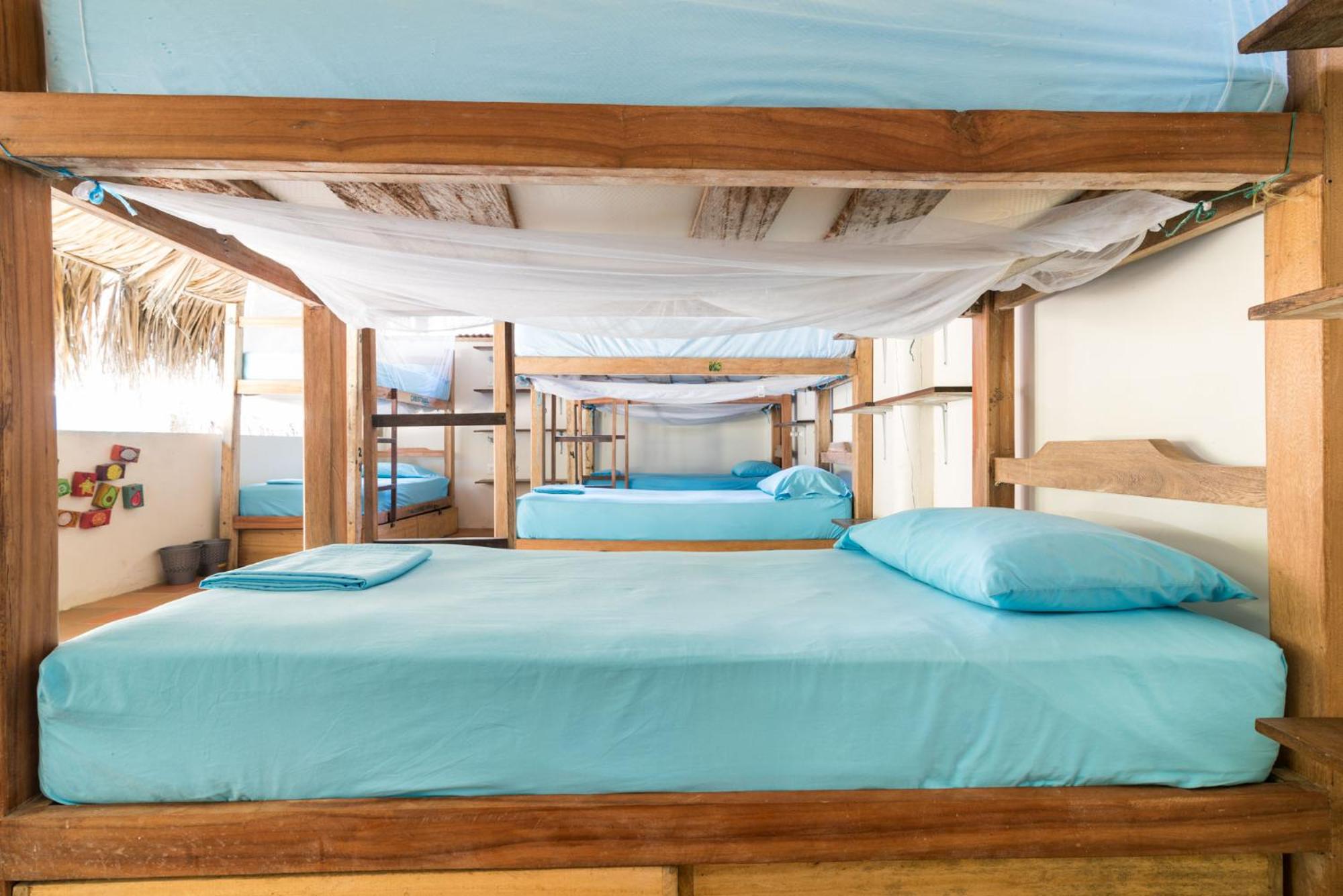 Bed in 12-Bed Mixed Dormitory Room photo 2