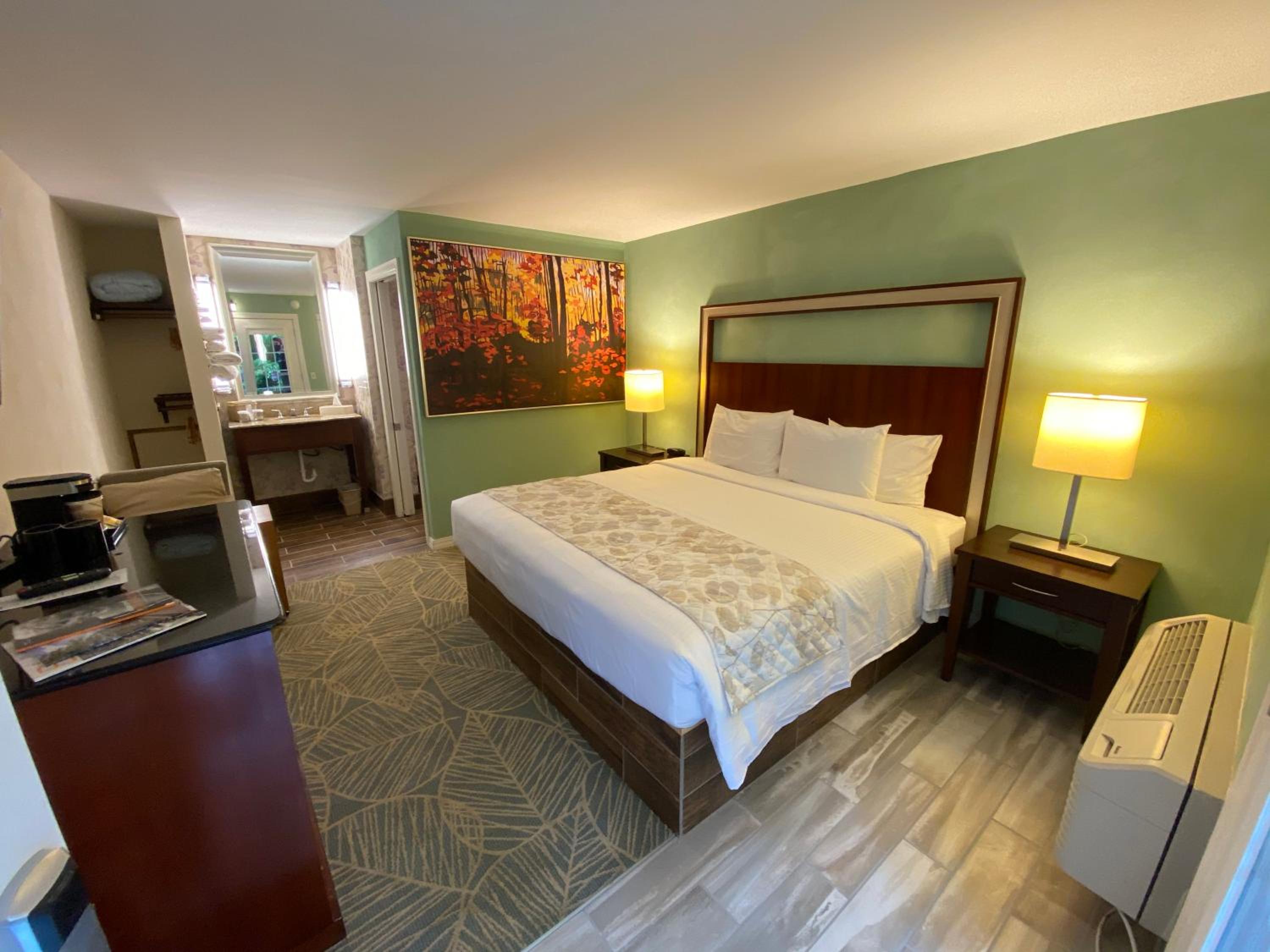 King Room - Disability Access photo 1