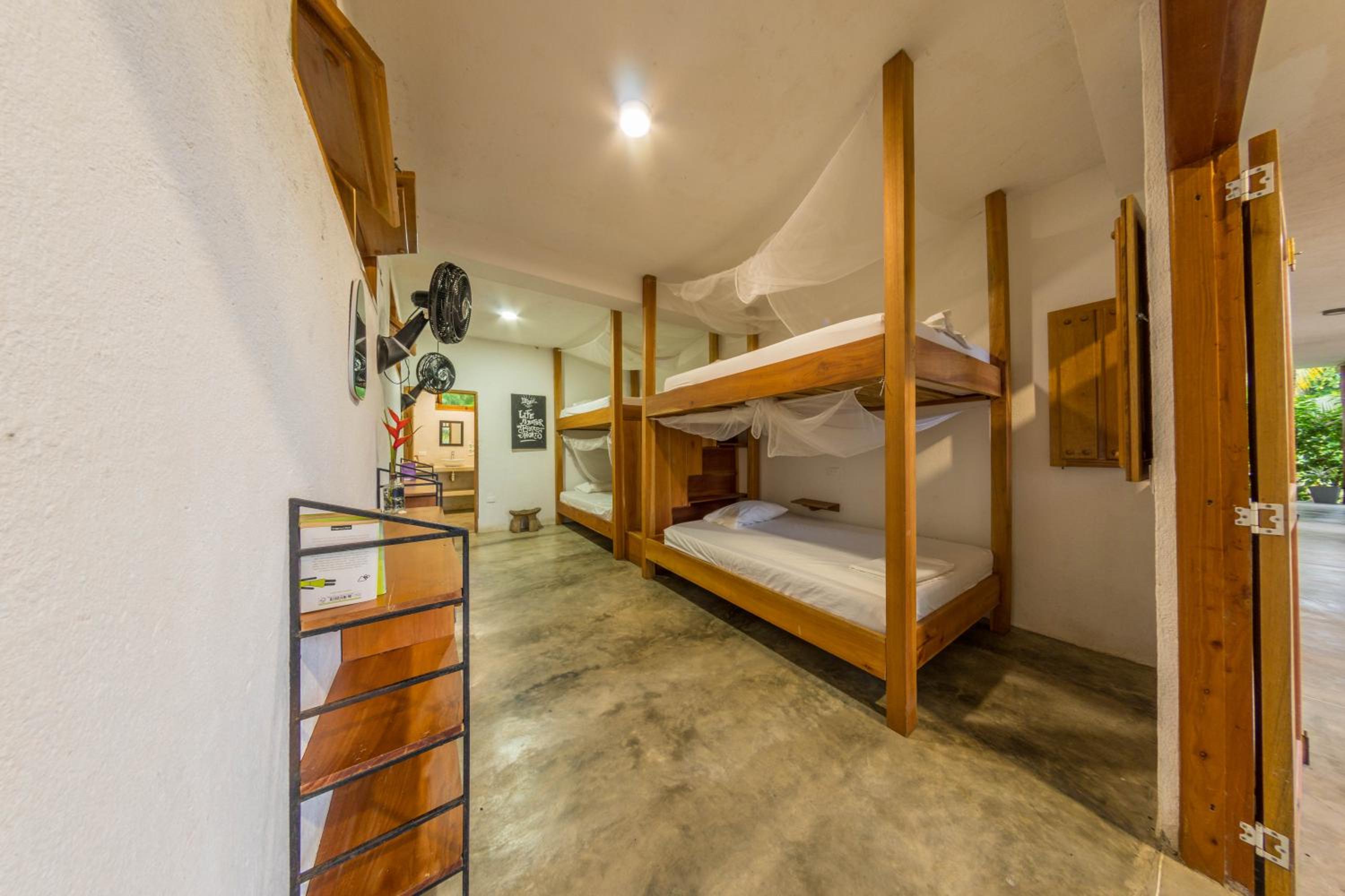 Bed in 4-Bed Dormitory Room