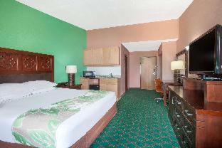Superior King Suite photo 1