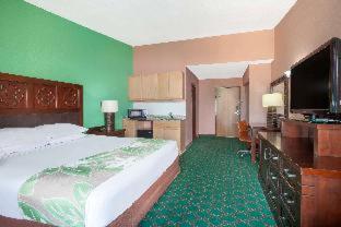 Superior King Suite photo 2