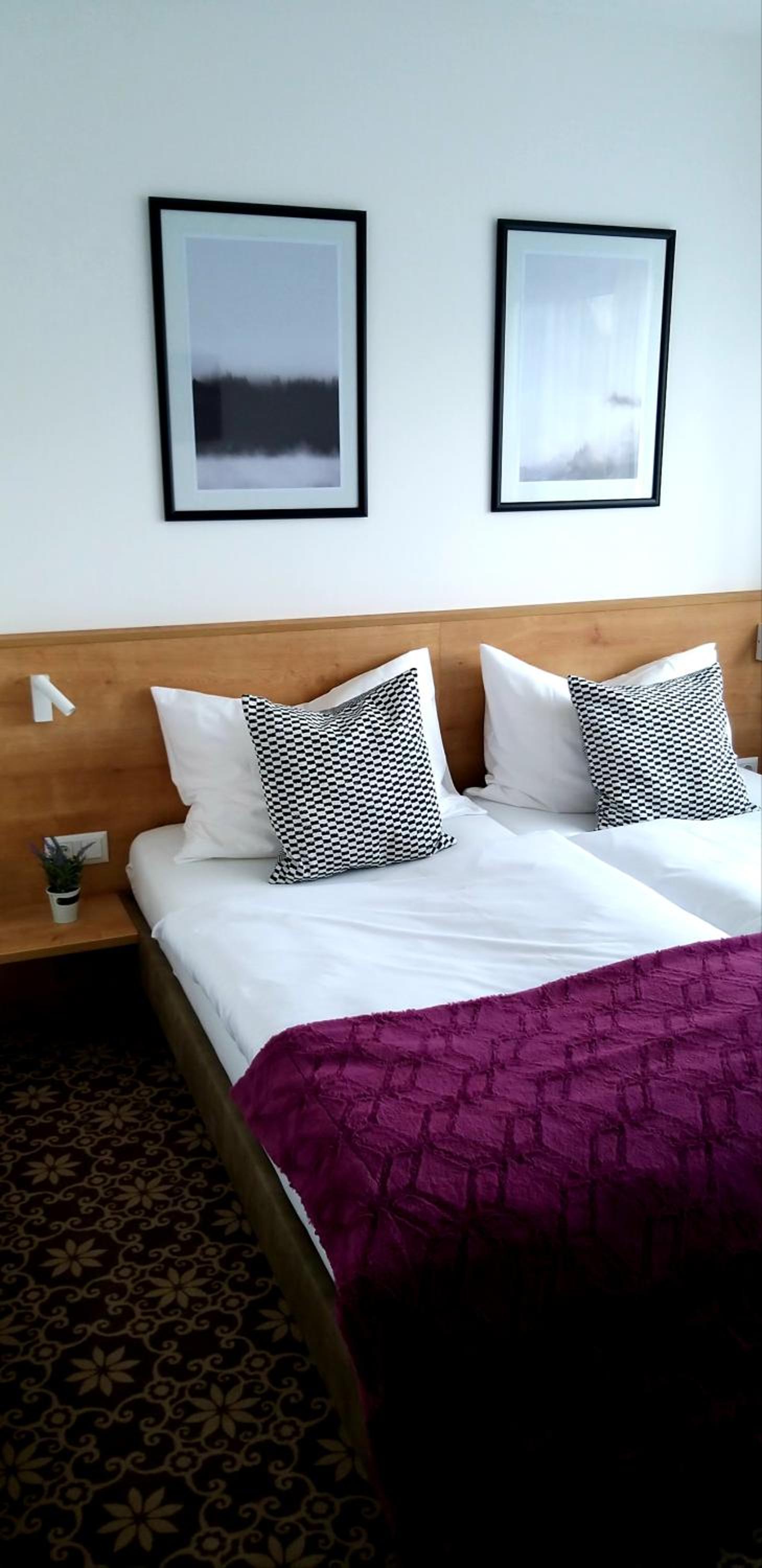 Deluxe Double Room - Photo 7