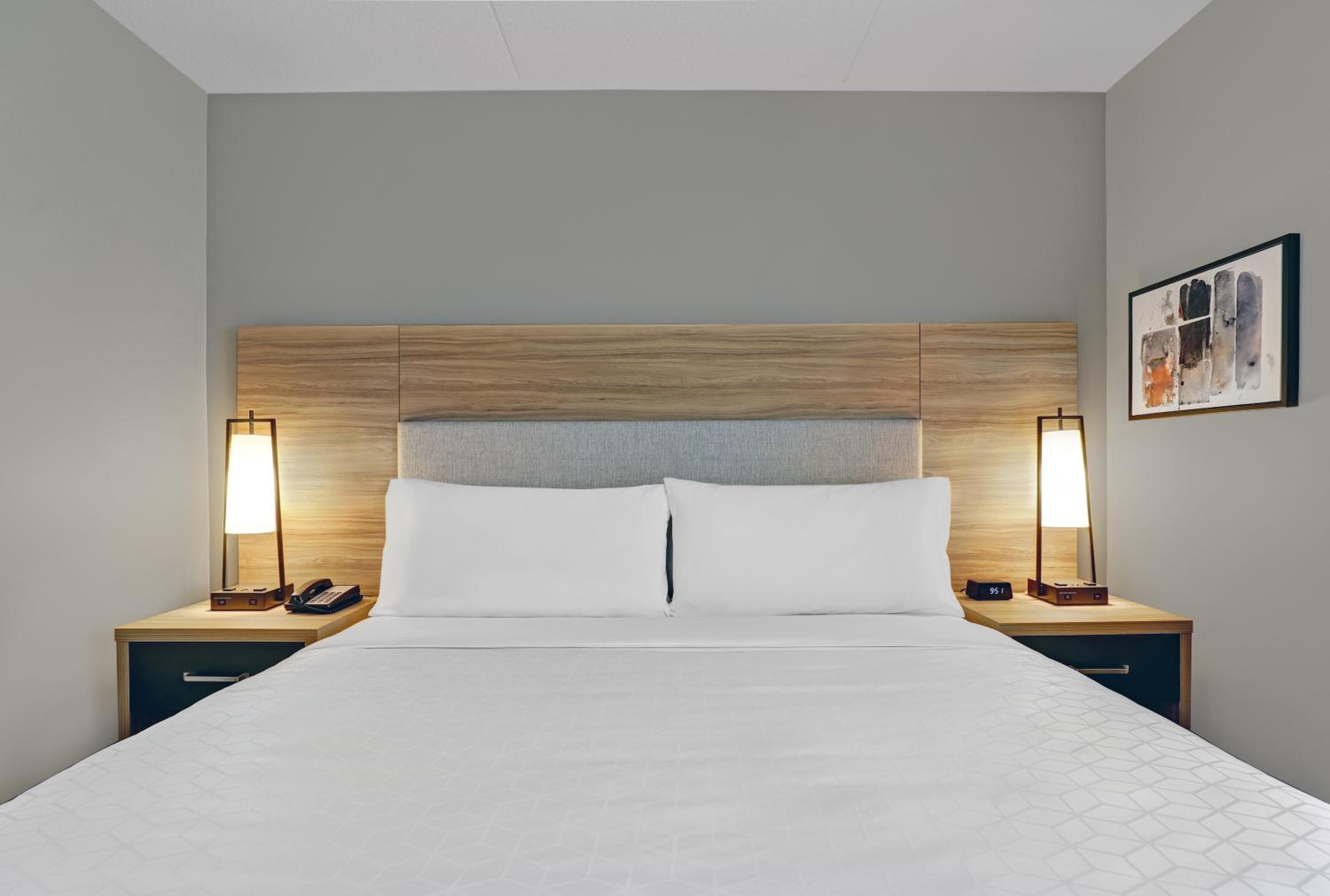 Studio Suite - Photo 2