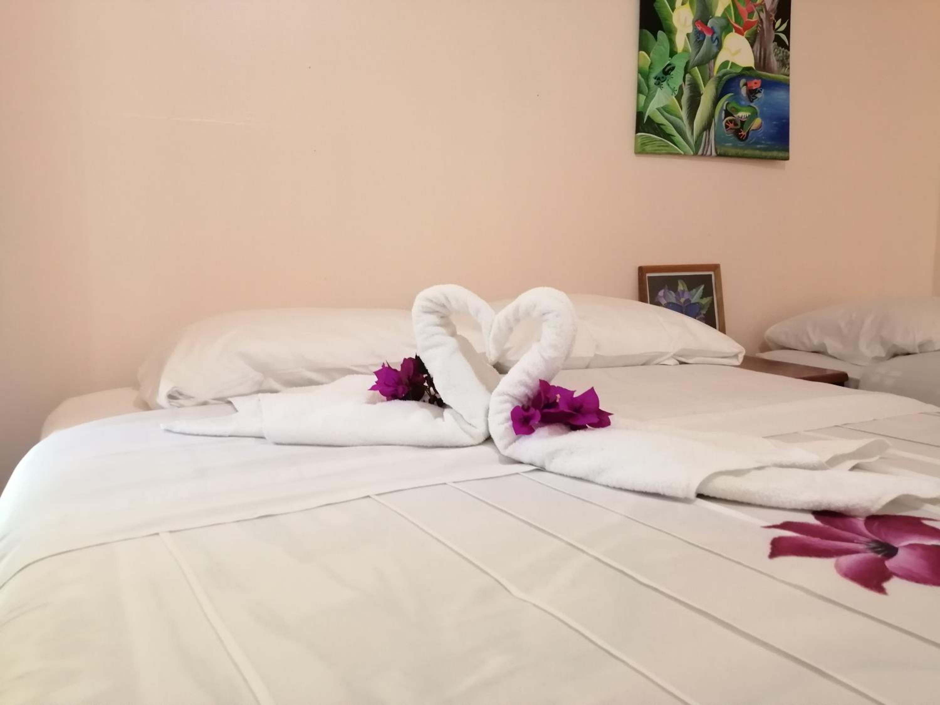 Standard Twin Room with Garden View photo 3
