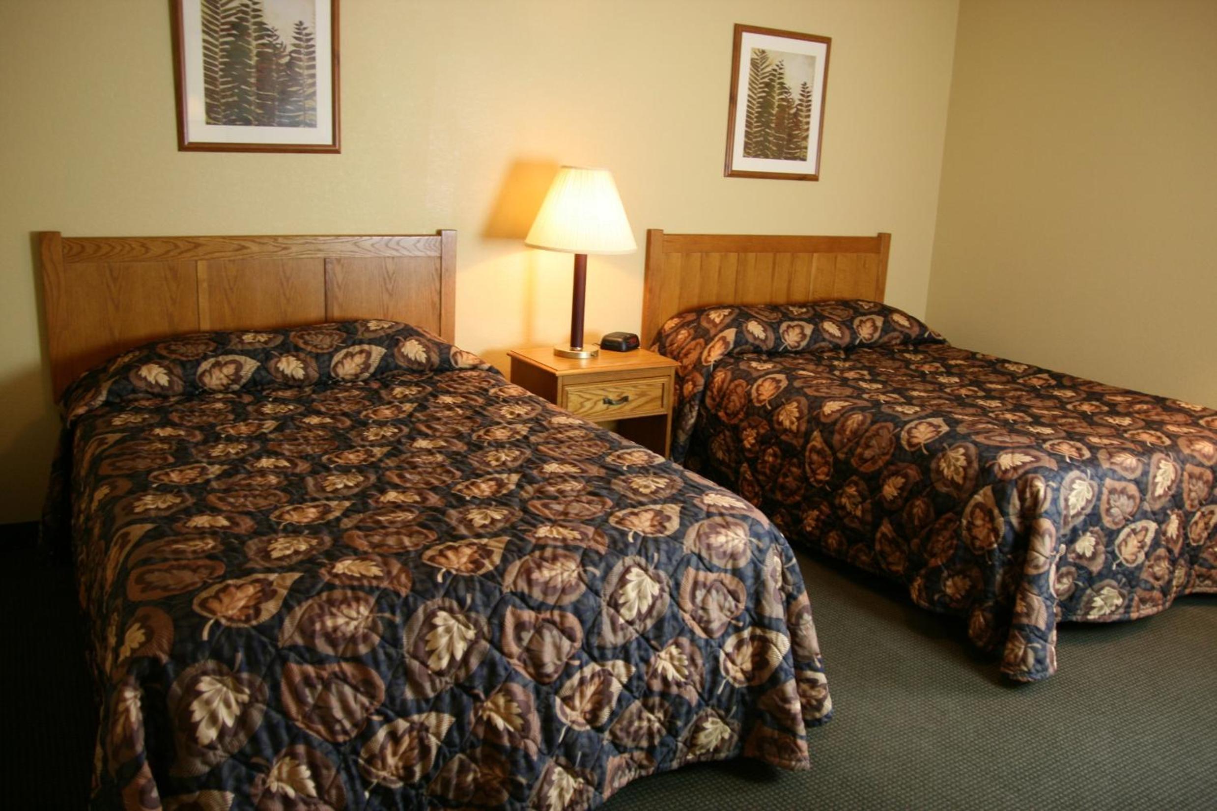 Basic Double Room