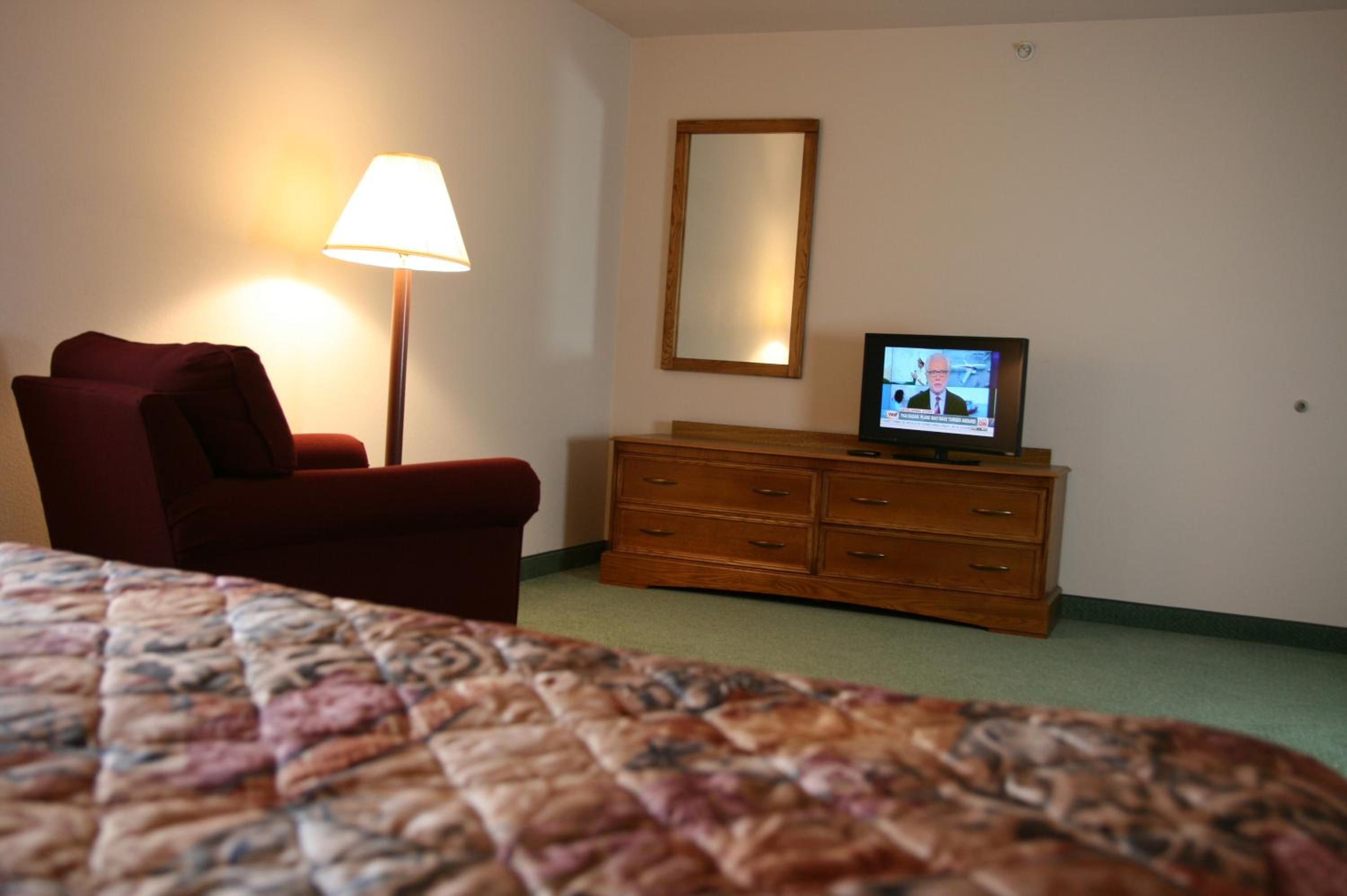 One-Bedroom Suite - Photo 10