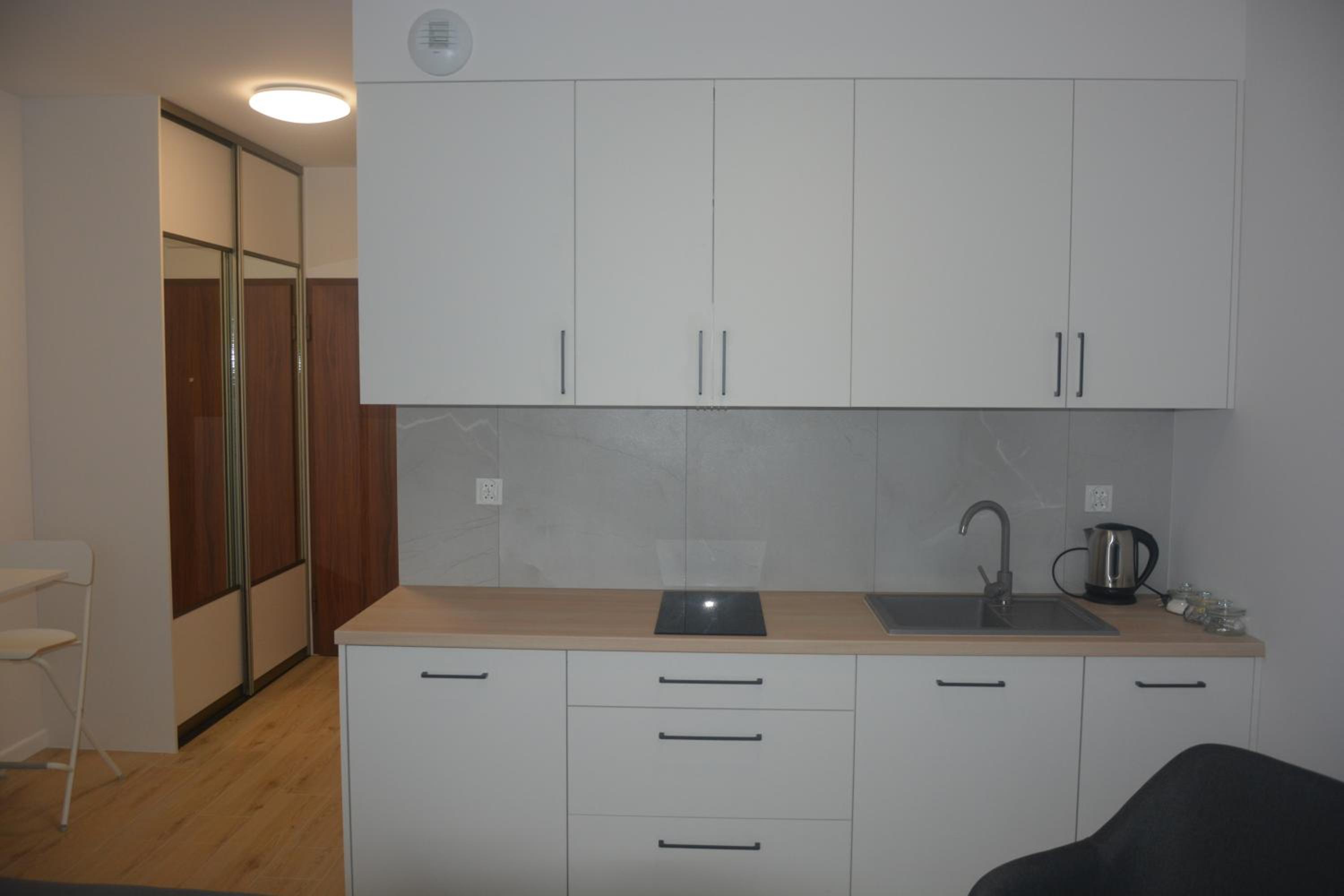 One-Bedroom Apartment photo 3
