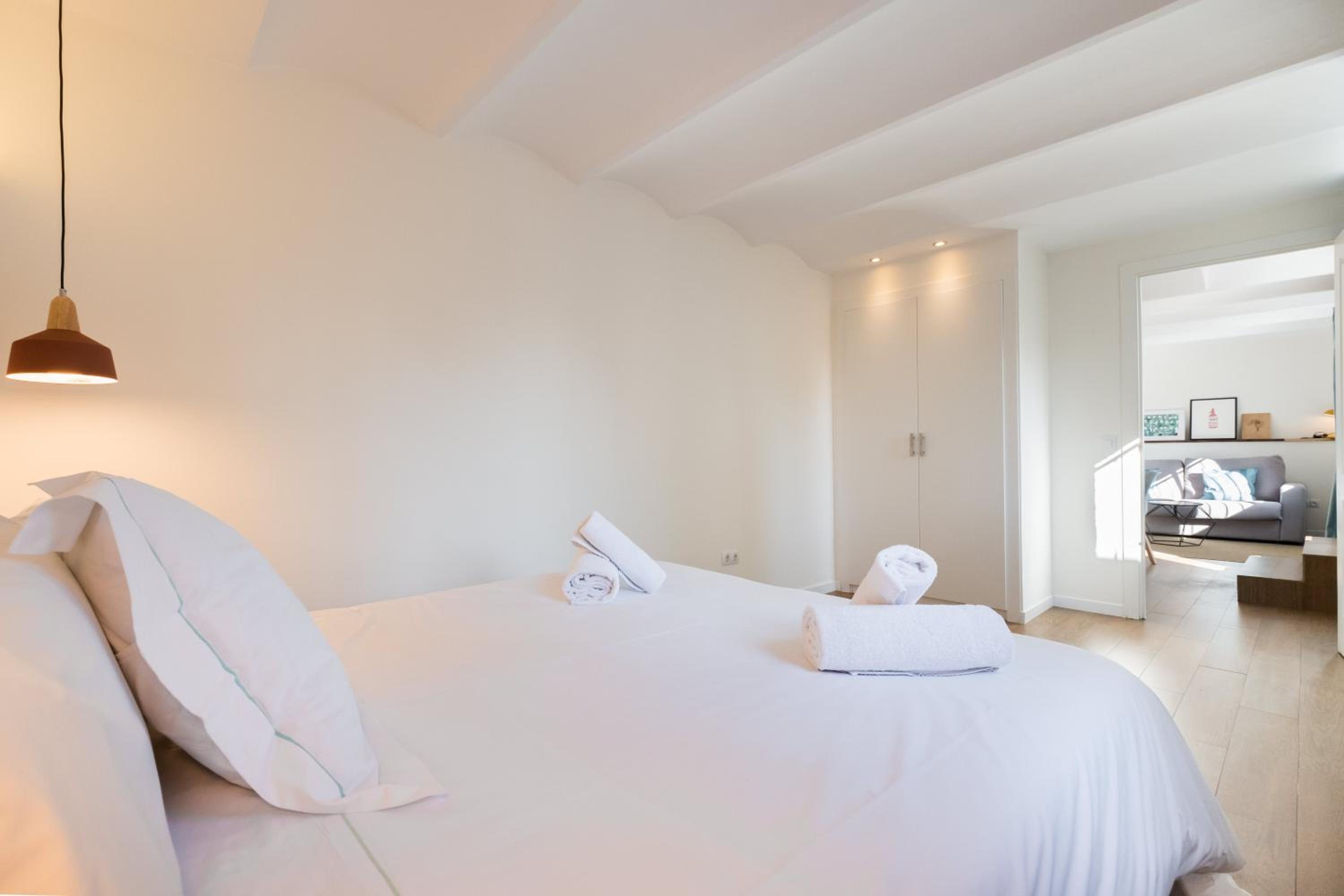 Penthouse Apartment with Terrace photo 3