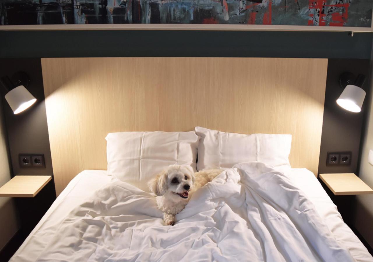 Good Morning Double Room - Photo 7