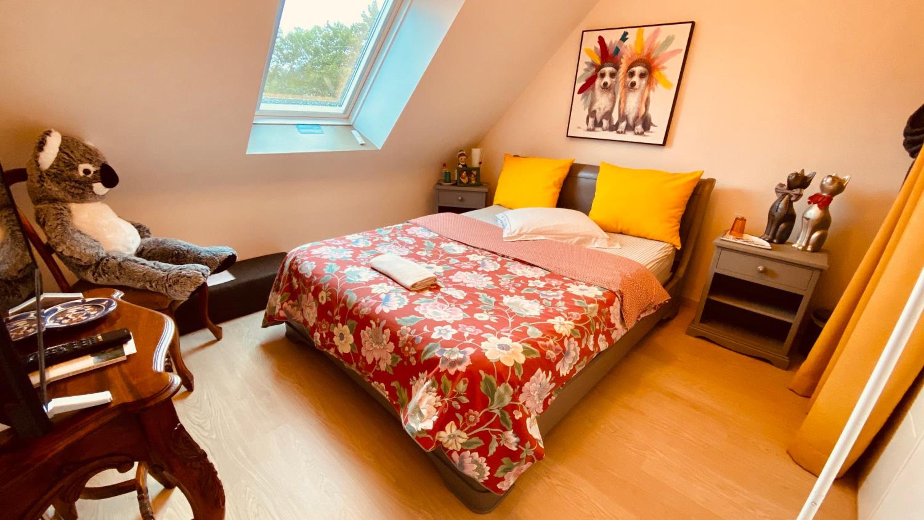 Single Room photo 2
