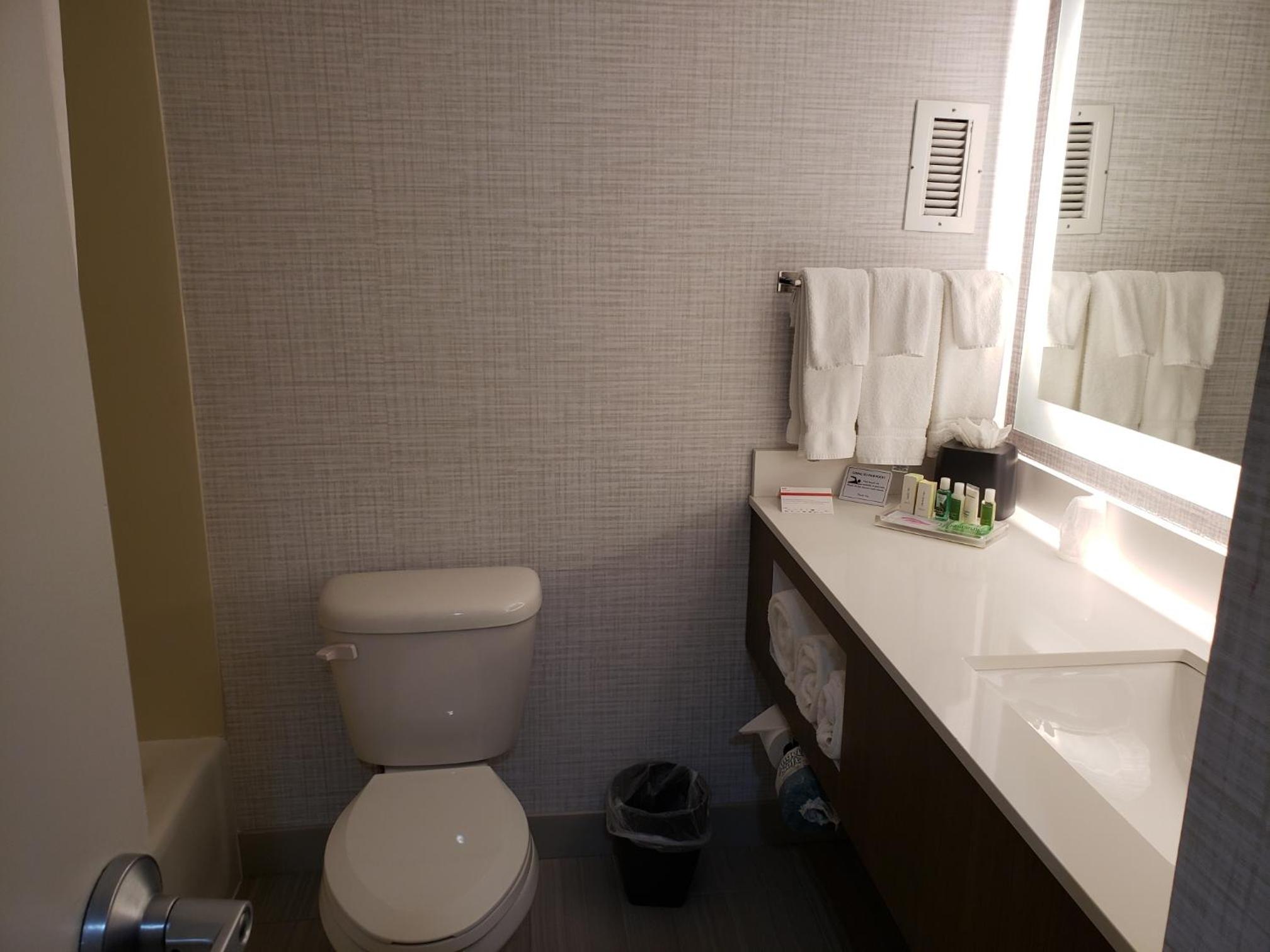 King Room - Mobility Access/Hearing Accessible - Photo 2