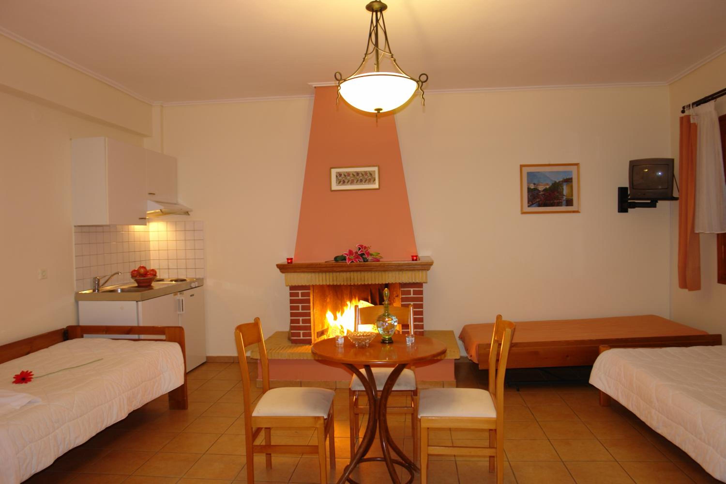 One-Bedroom Apartment with Fireplace photo 2