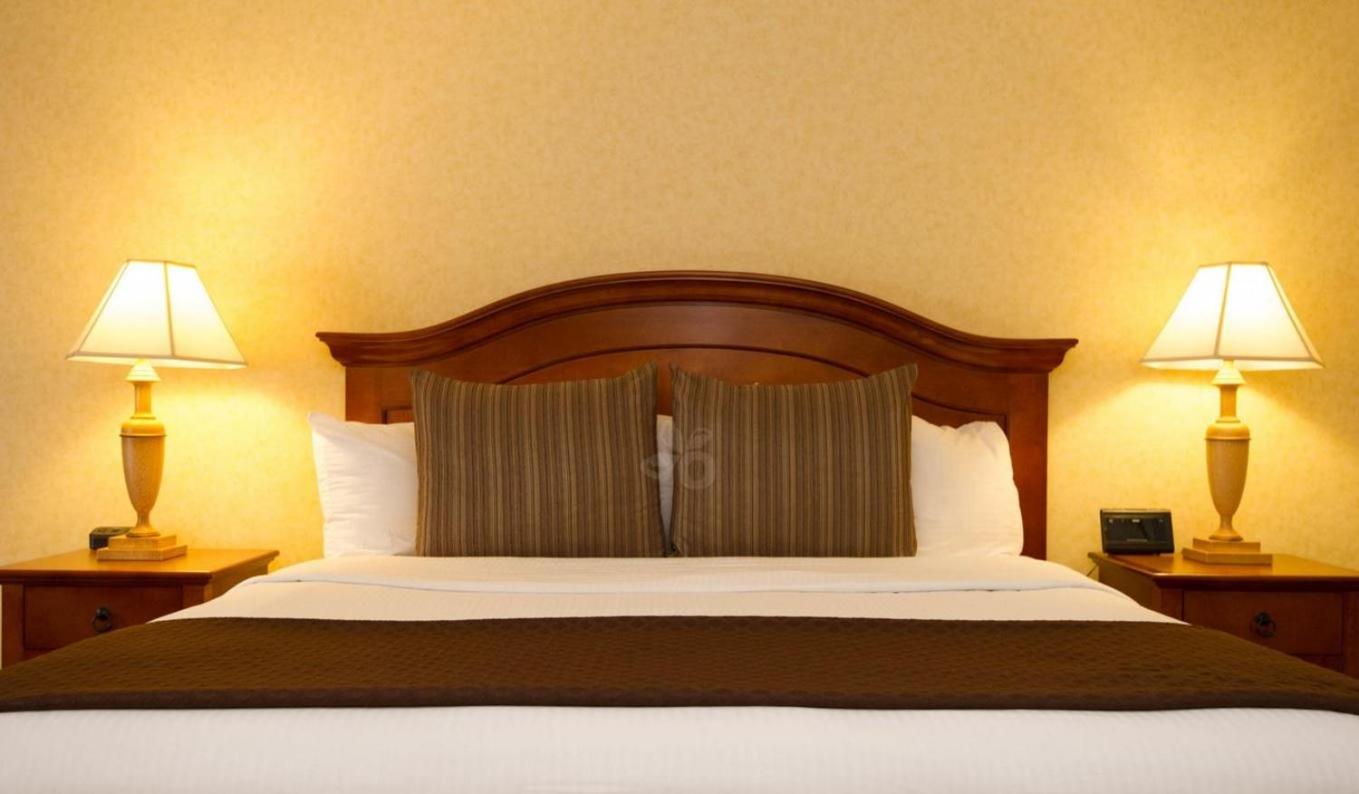King Room - Disability Access photo 3