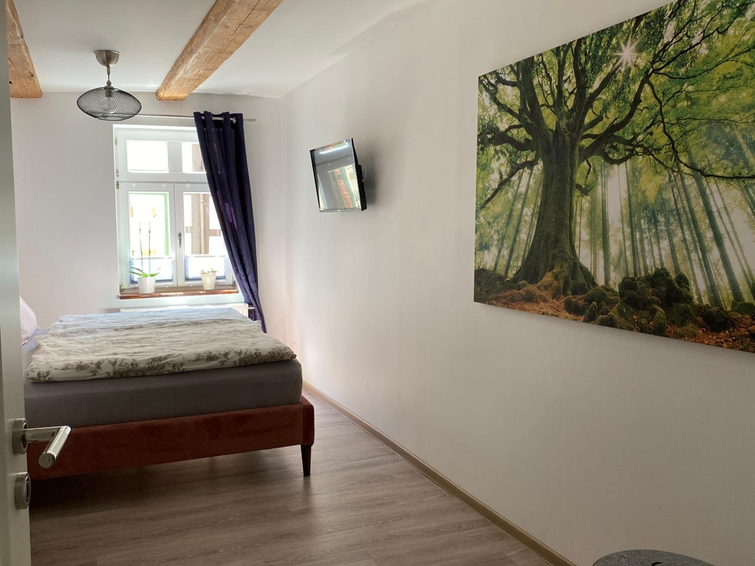 Deluxe One-Bedroom Apartment 1 with Balcony 